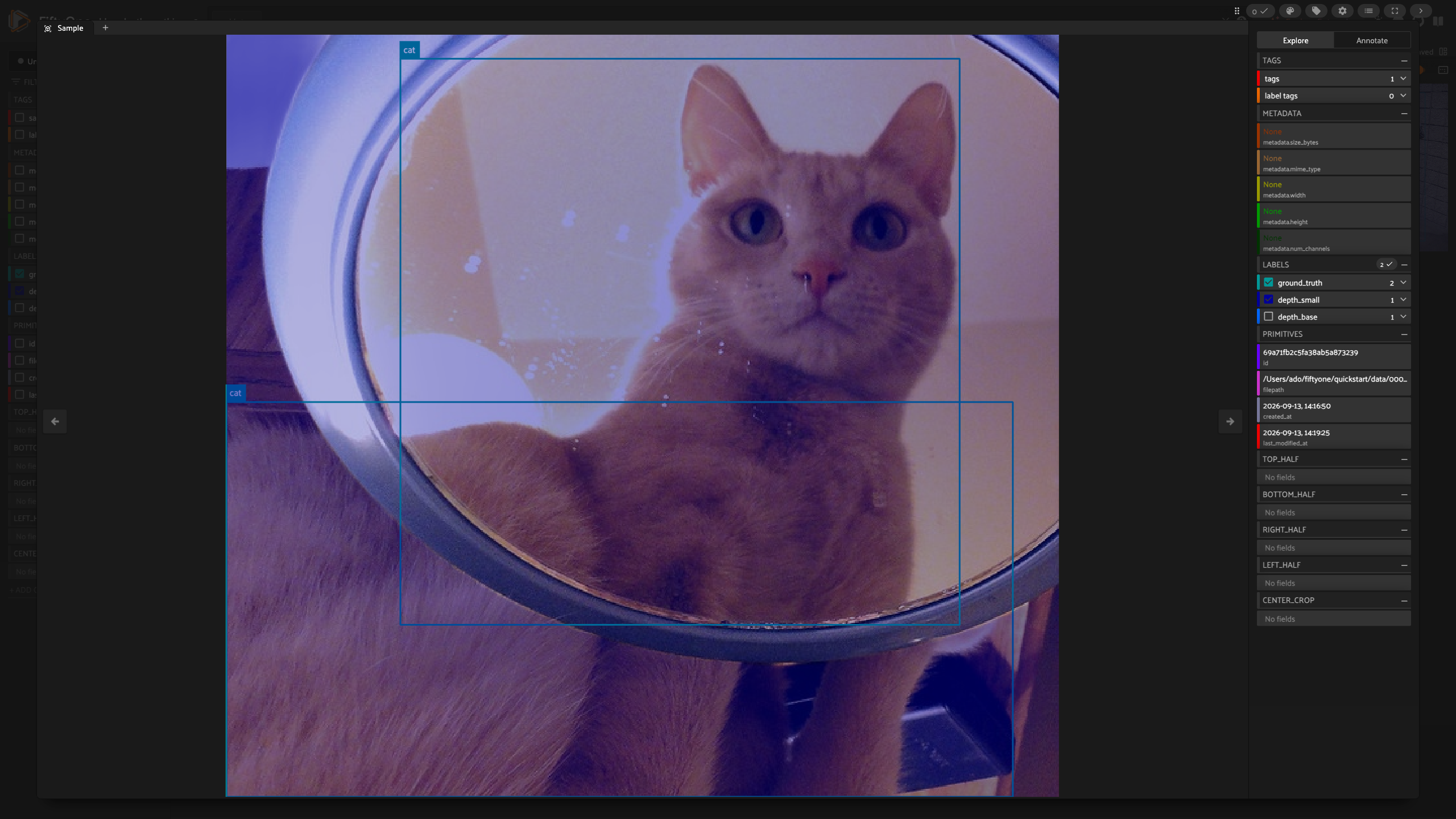 A ginger cat reflected in a round mirror in the FiftyOne App, with two ground truth cat boxes, one on the real body and one on the reflection, under the depth_small prediction.