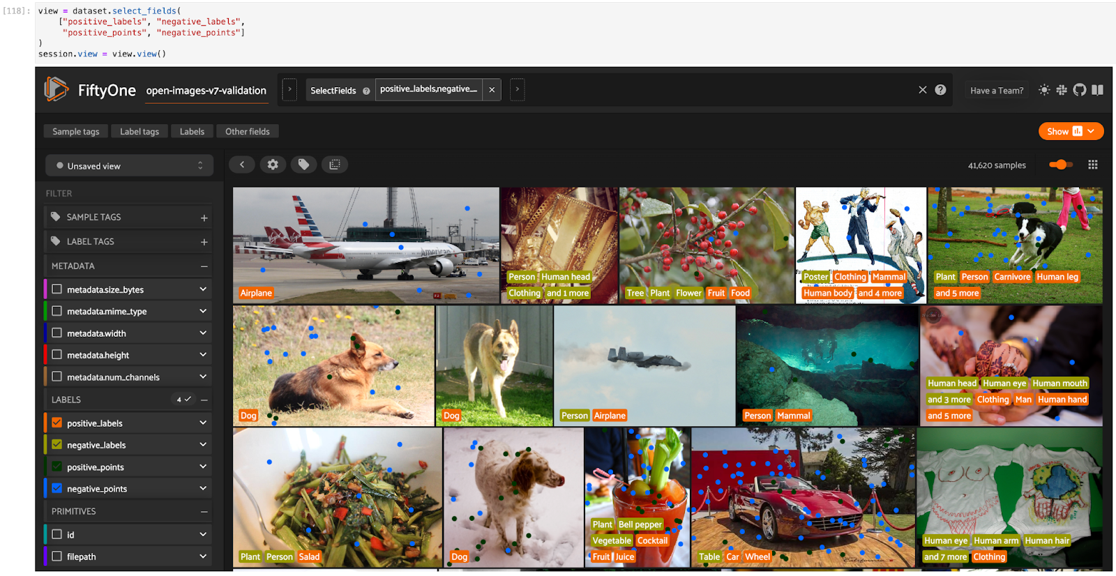 Exploring Google’s Open Images V7 - Voxel51