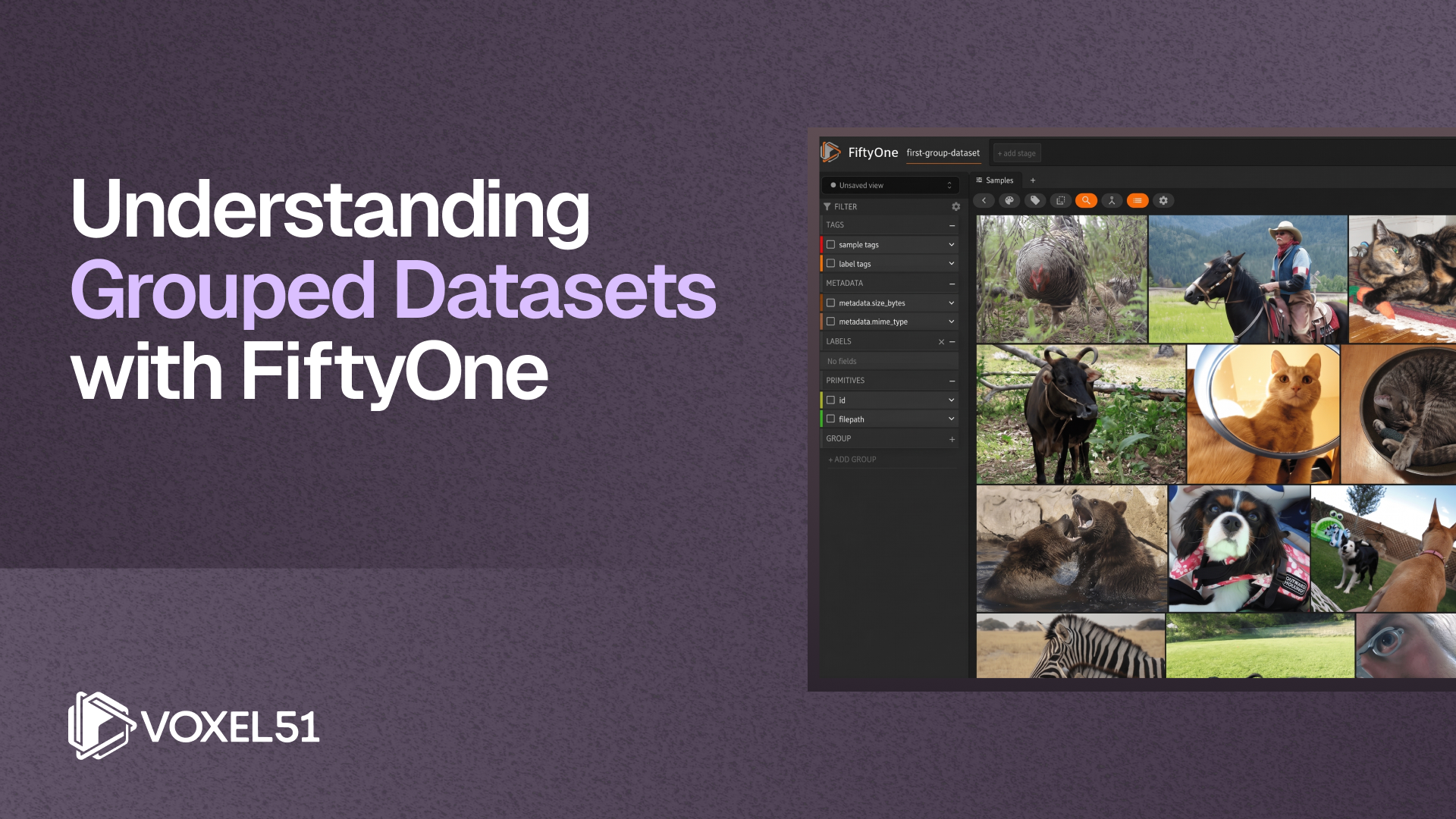 Blog title image, with blog title: Understanding Grouped Datasets with FiftyOne