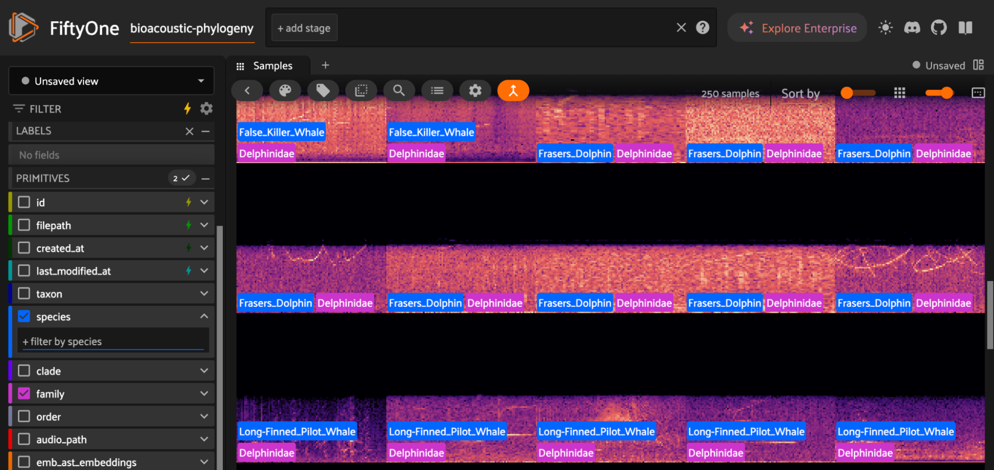 FiftyOne grid of marine mammal clips rendered as spectrograms, each labeled with species and family, from the bioacoustic-phylogeny dataset.