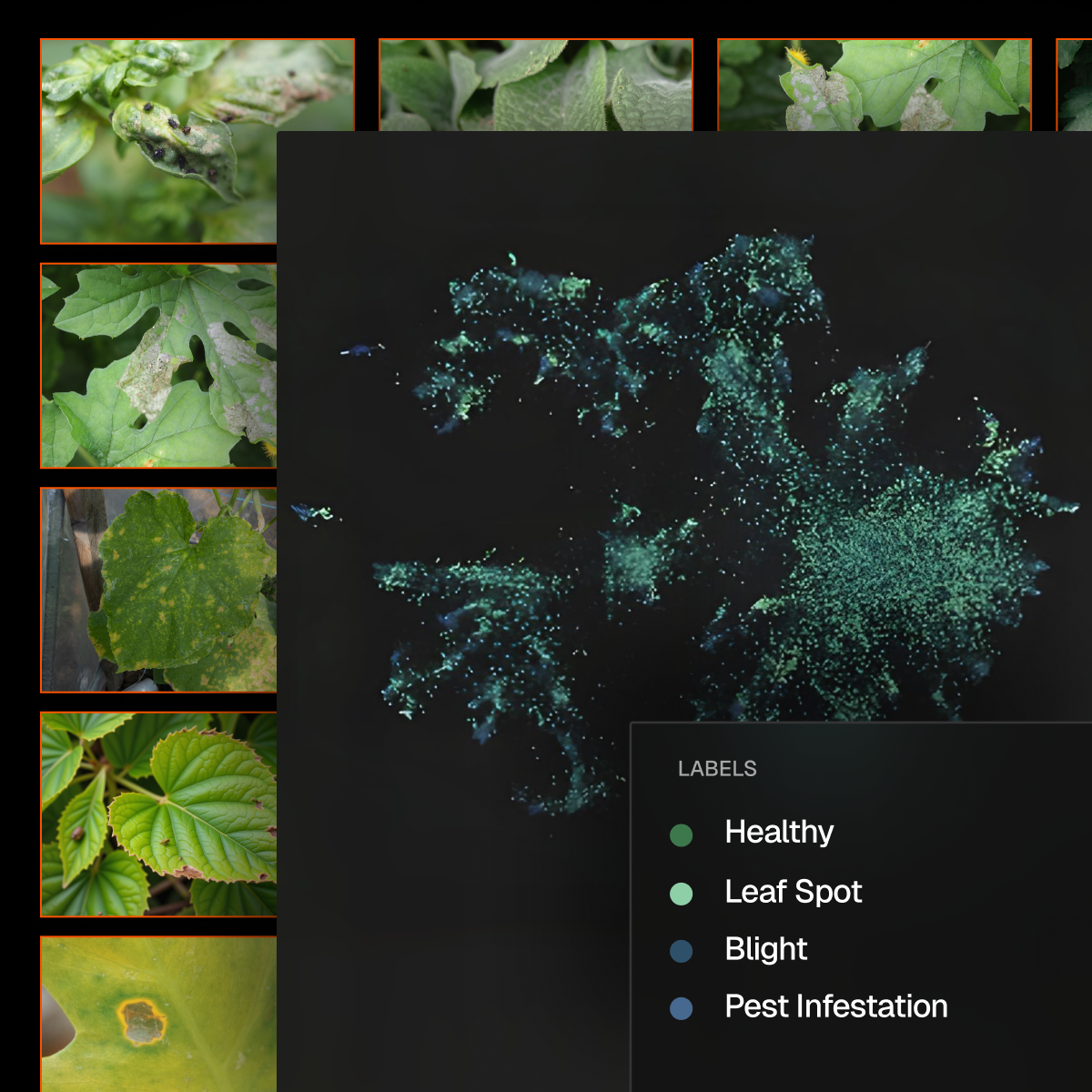 Computer vision embeddings