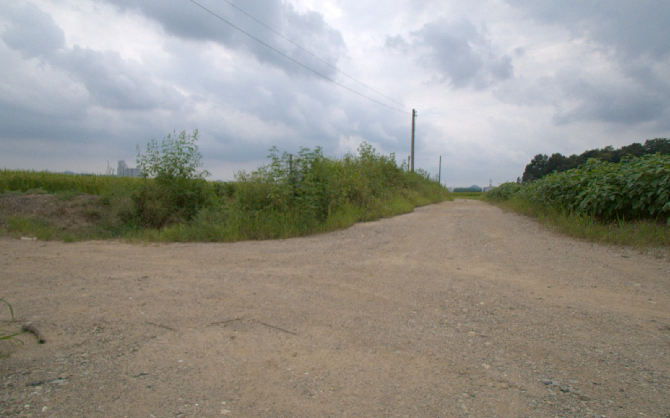 Unpaved off-road track through open fields under an overcast sky, the unmapped terrain physical AI must navigate.