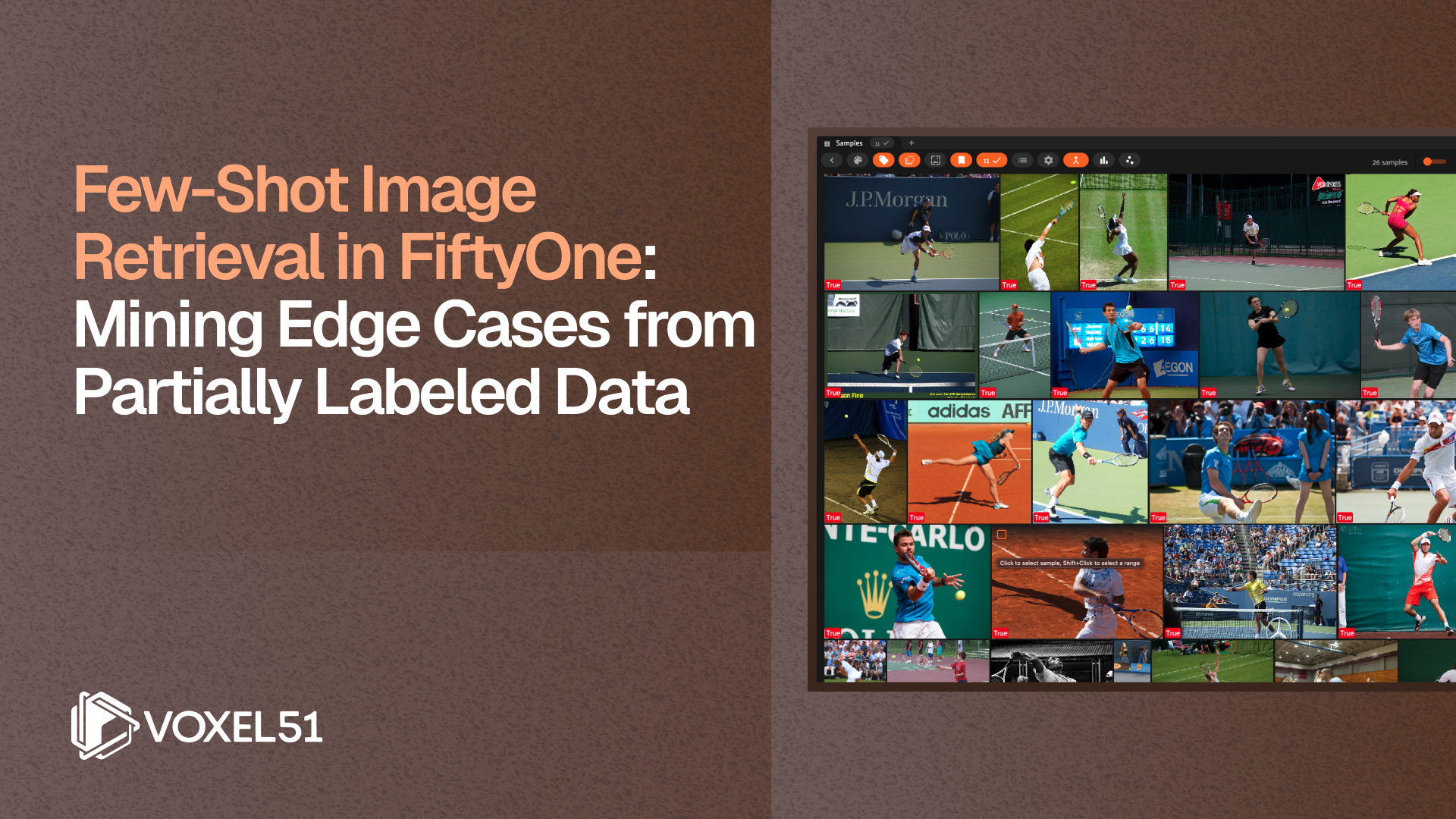 Few-Shot Image Retrieval in FiftyOne: Mining Edge Cases from Partially Labeled Data