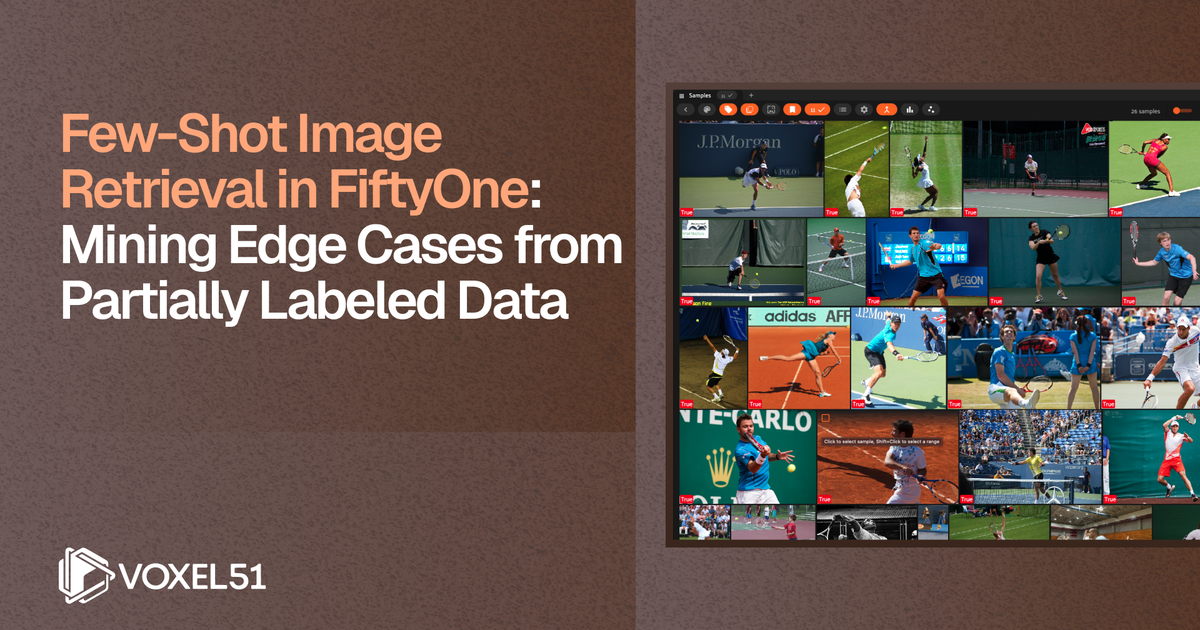 Few-Shot Learning Plugin for Voxel51 | FiftyOne Labs