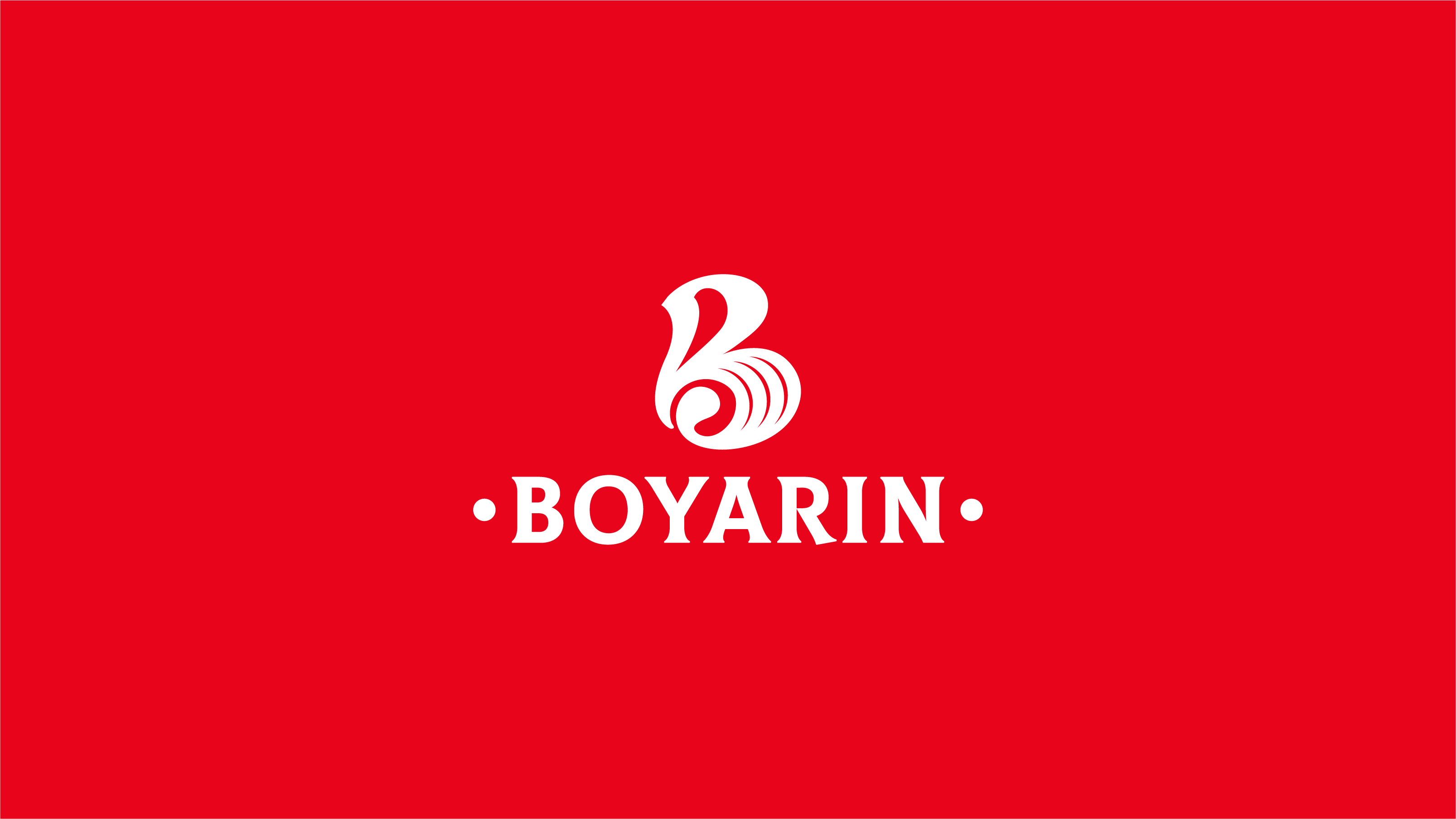 Boyarin new