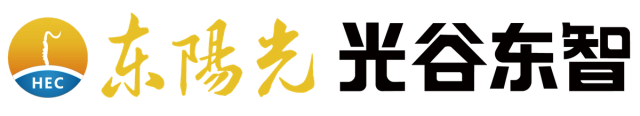 Hubei Optics Valley Dongzhi Embodied Intelligence Technology Co., Ltd. logo