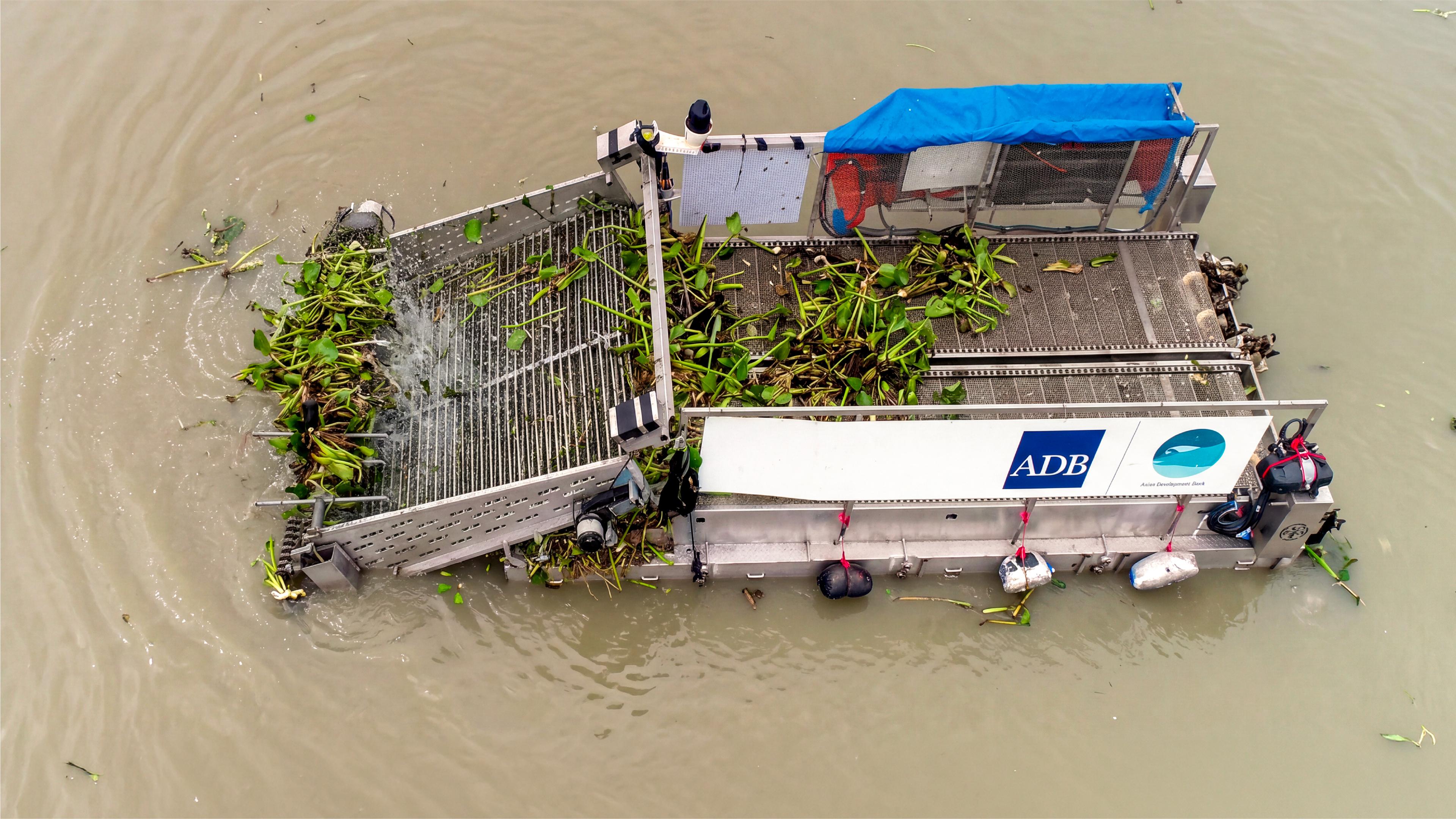Overhead view of a flat-decked electric harvesting boat on muddy brown water, its conveyor ramp lifting a mat of green water hyacinth onto the deck.