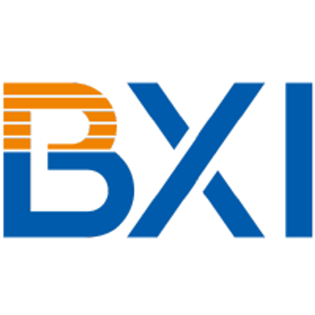 Shanghai Banxing Technology Co., Ltd. logo