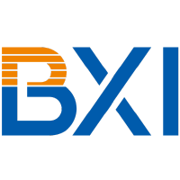 Shanghai Banxing Technology Co., Ltd. logo