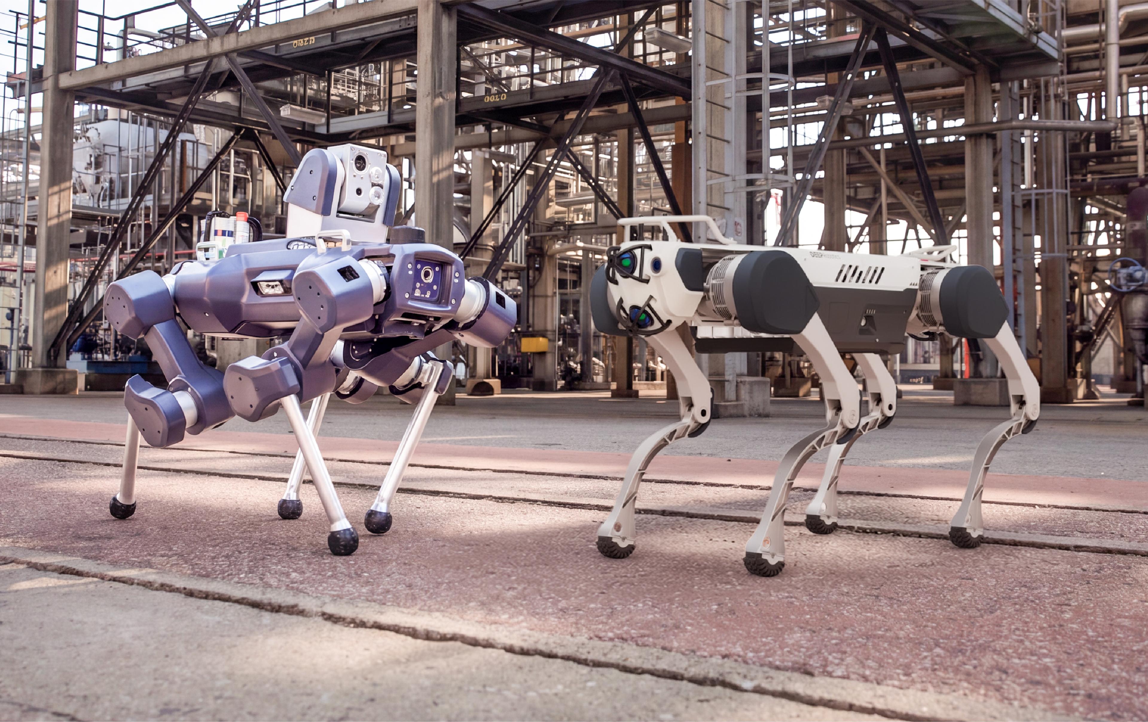anybotics-anymal-x-vs-deeprobotics-x30