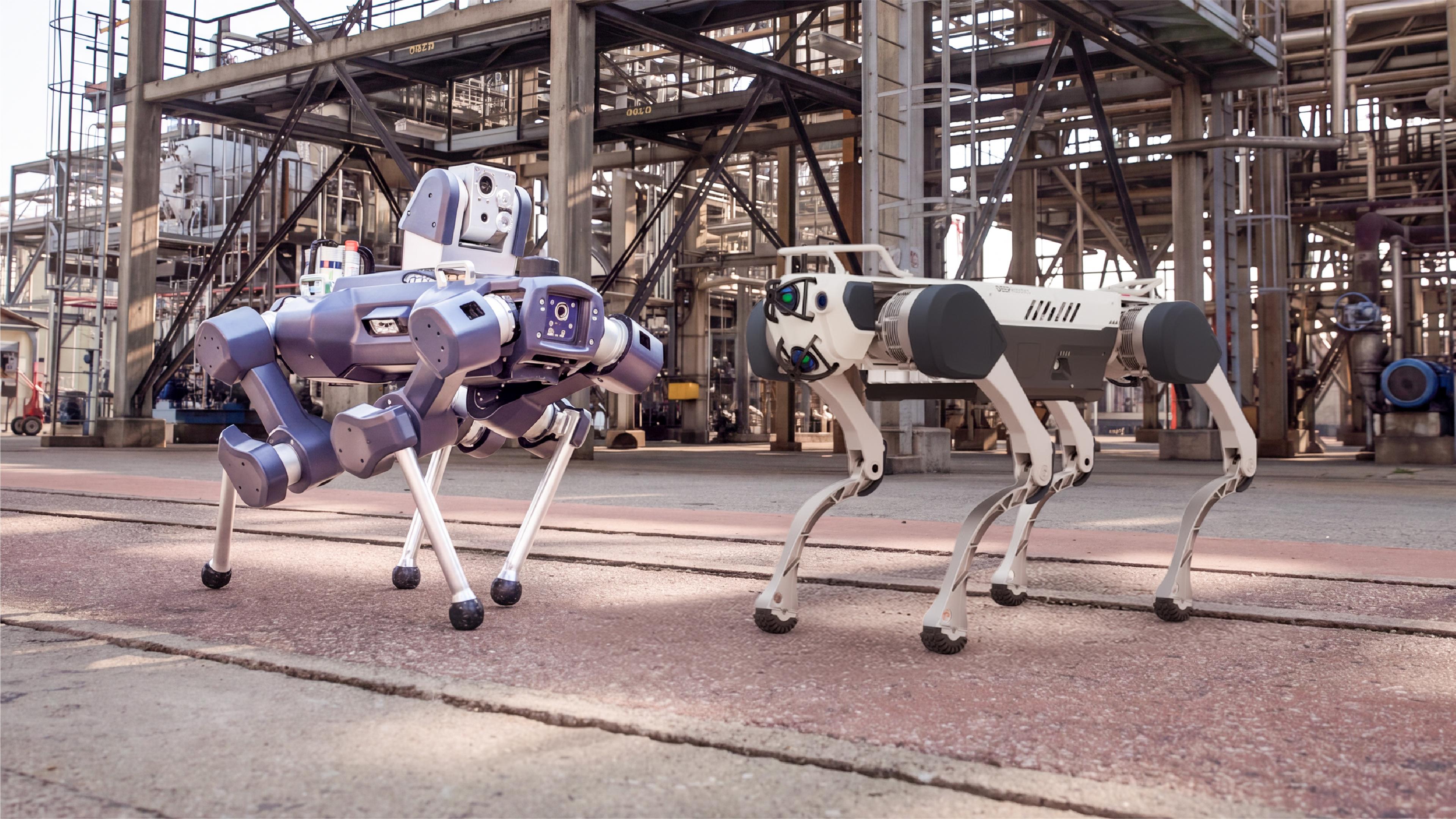 anybotics-anymal-x-vs-deeprobotics-x30