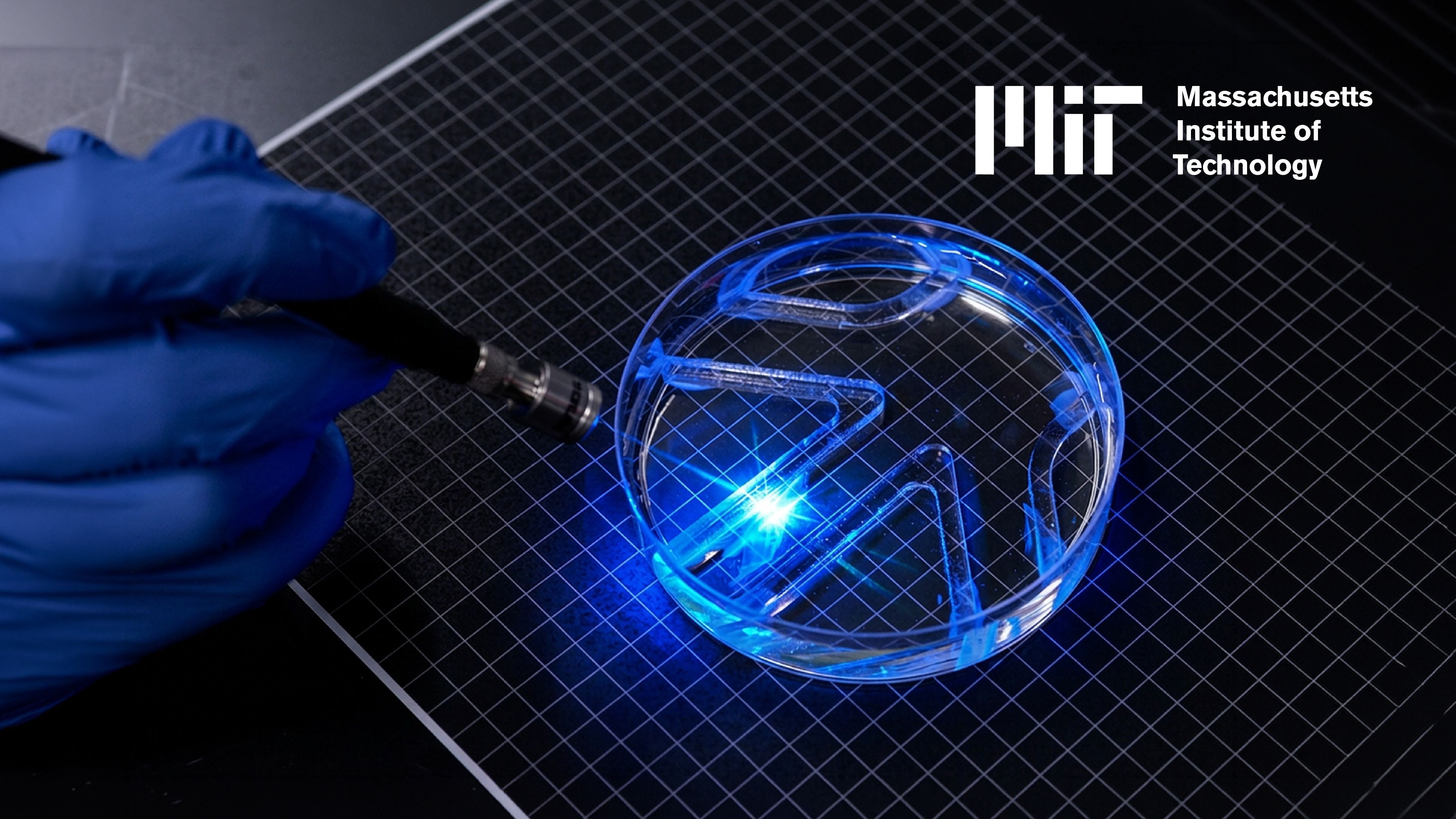 A researcher shines blue light onto a transparent dish containing MIT's muscle-powered swimming robot.