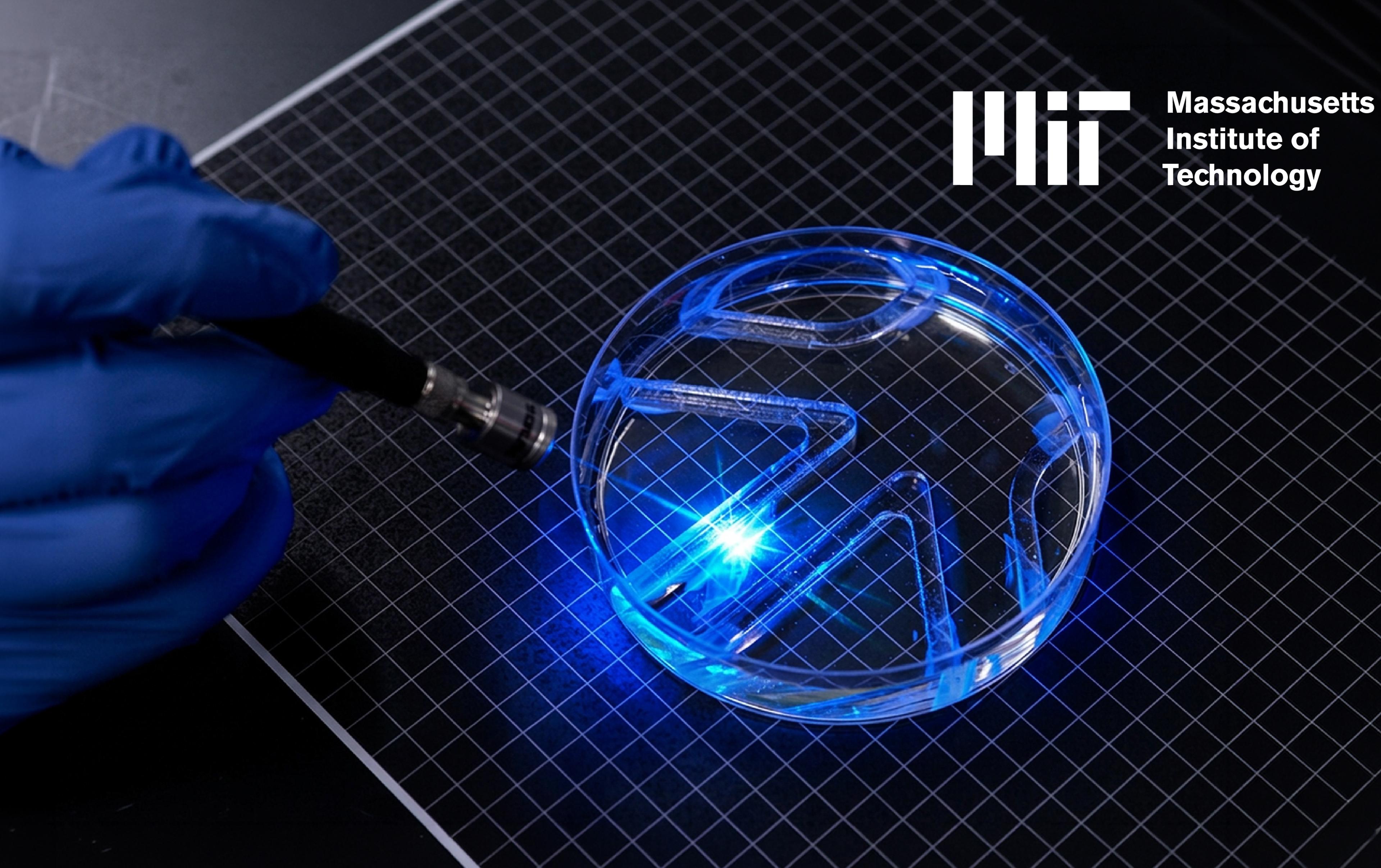 A researcher shines blue light onto a transparent dish containing MIT's muscle-powered swimming robot.