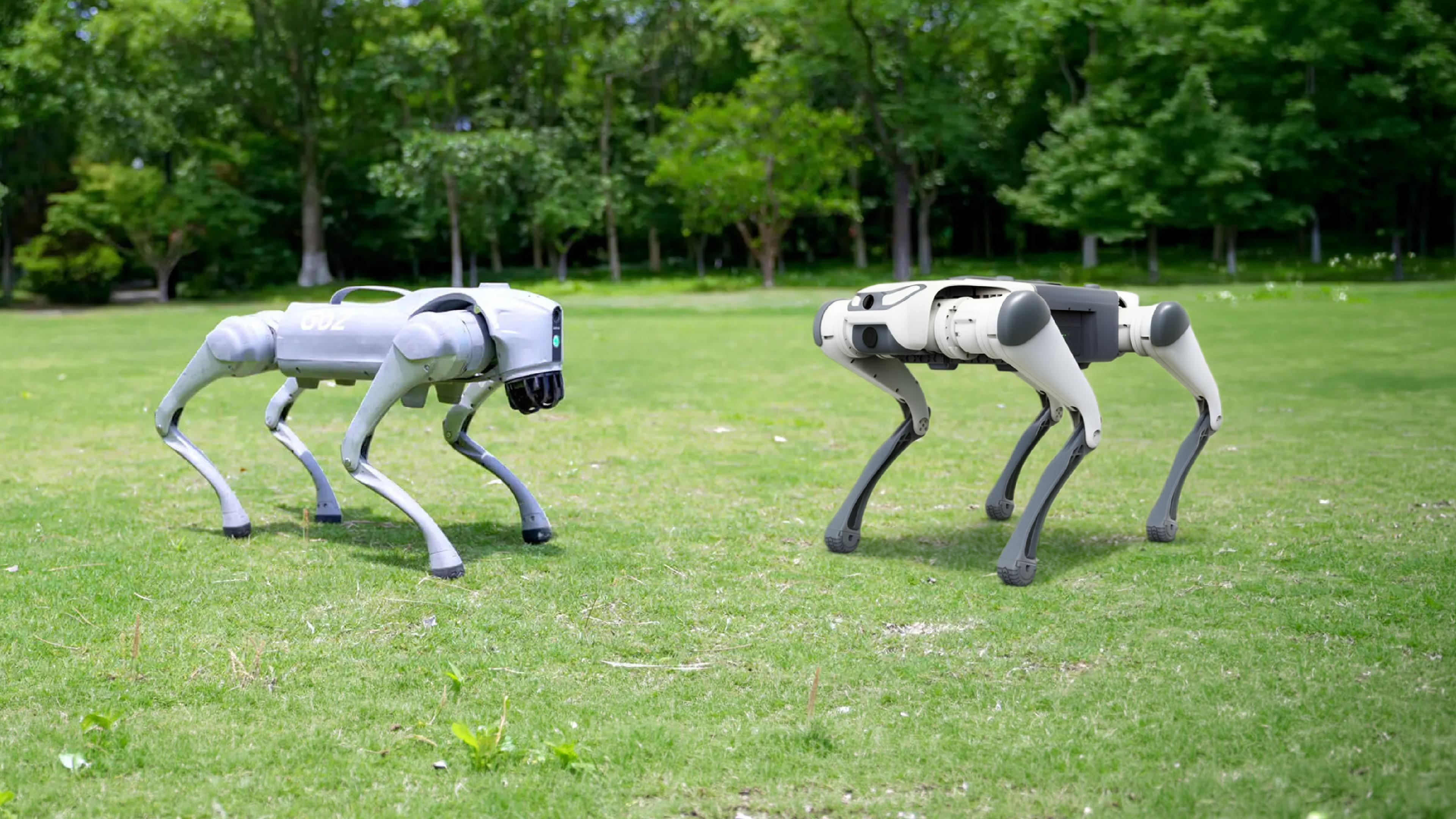 deeprobotics-lite3-vs-unitree-go2-edu