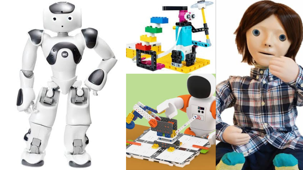 Real-World Applications and Challenges of Educational Robots