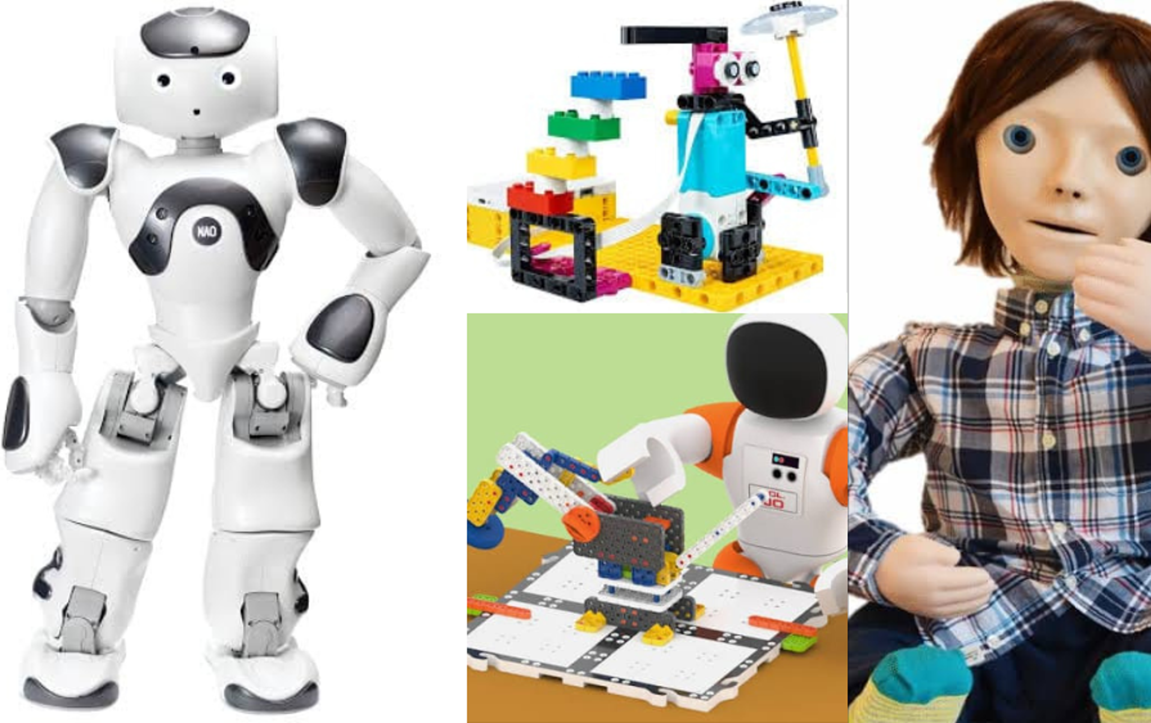 Real-World Applications and Challenges of Educational Robots