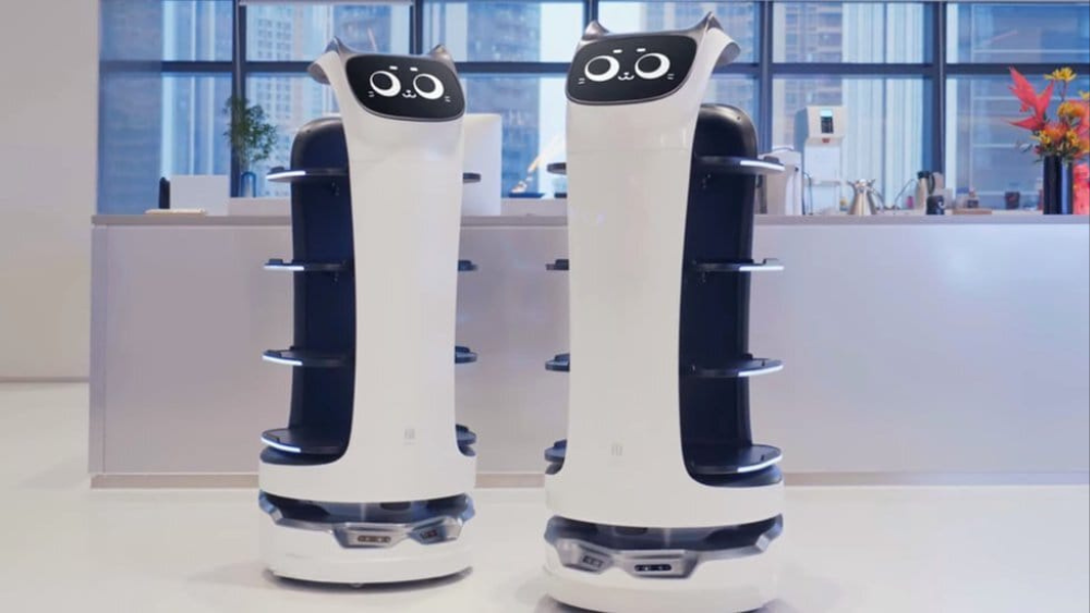 Will Service Robots Replace Human Workers