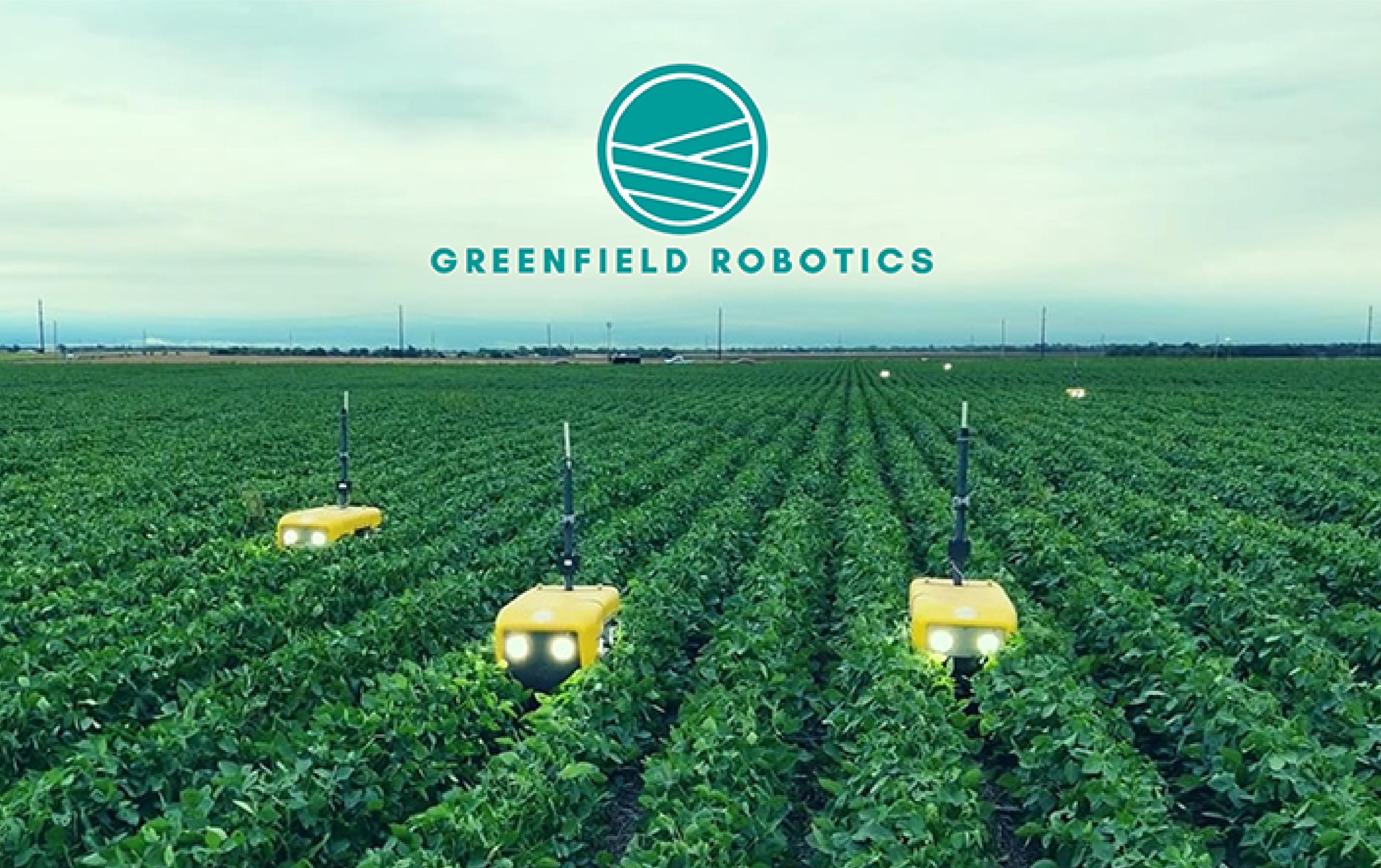 Three Greenfield Robotics agricultural robots move between rows of crops in a field beneath the company’s logo.