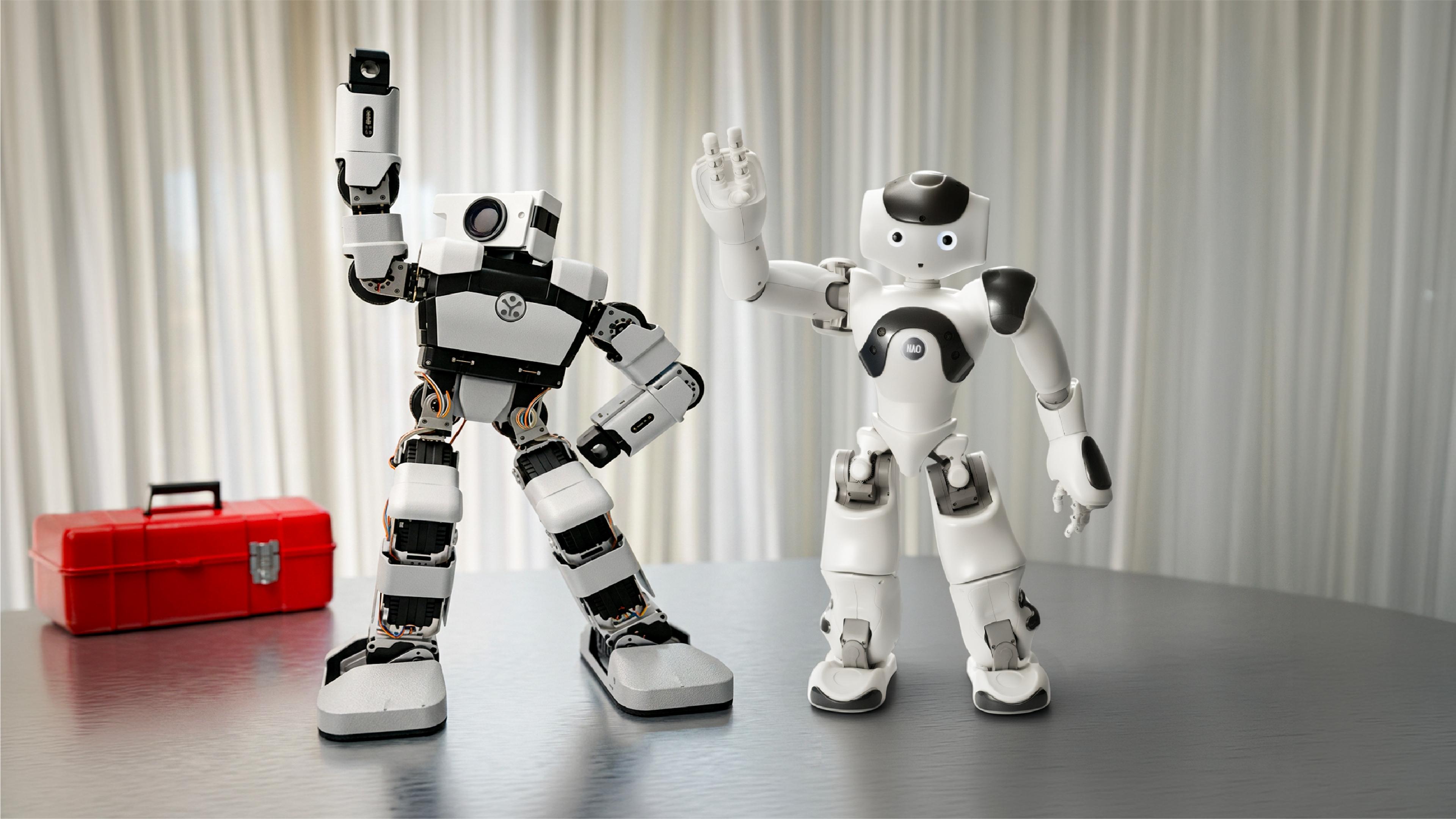 nao-6-v6-vs-ubtech-yanshee