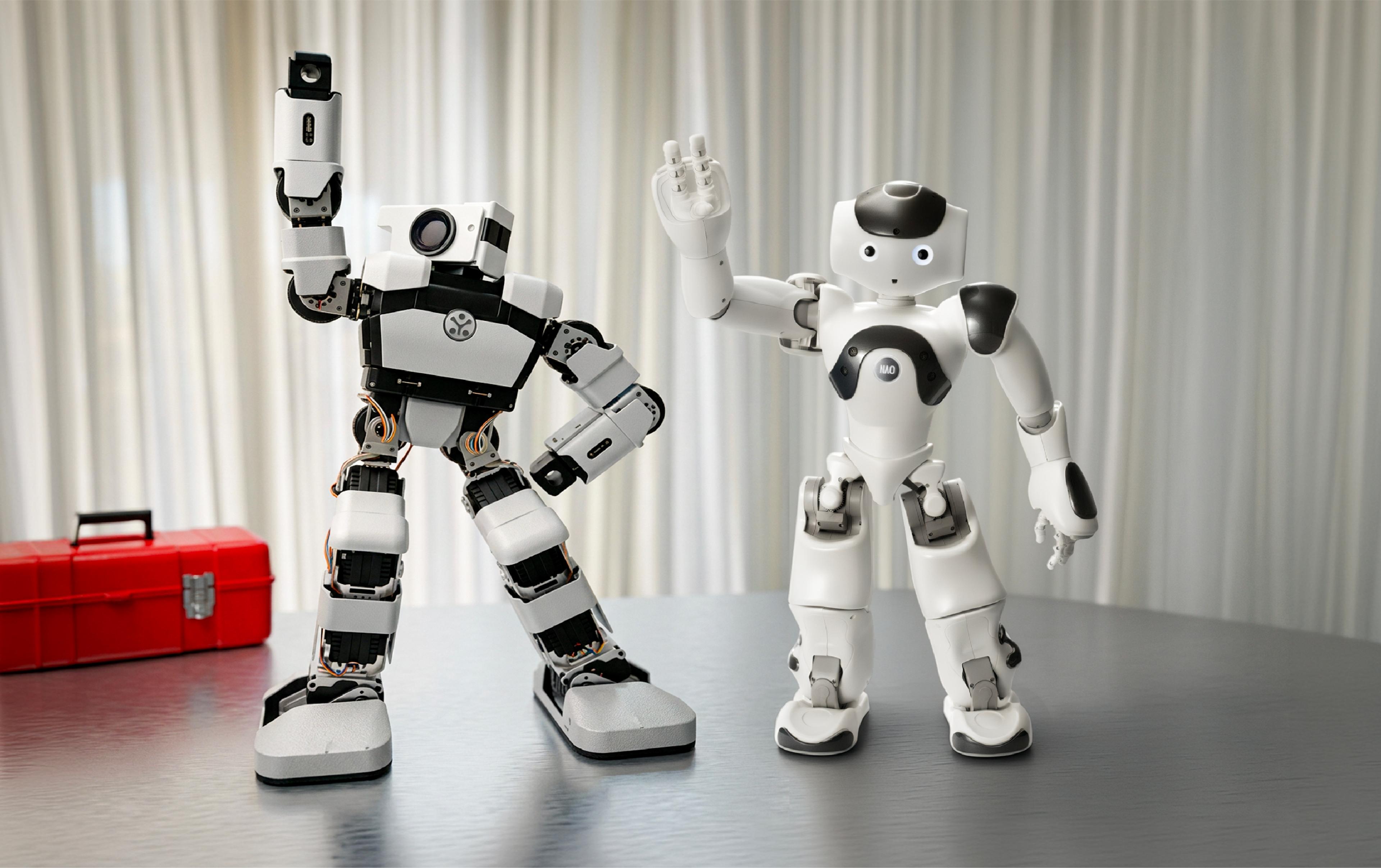 nao-6-v6-vs-ubtech-yanshee