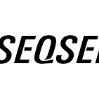 SEQSENSE Co., Ltd. logo