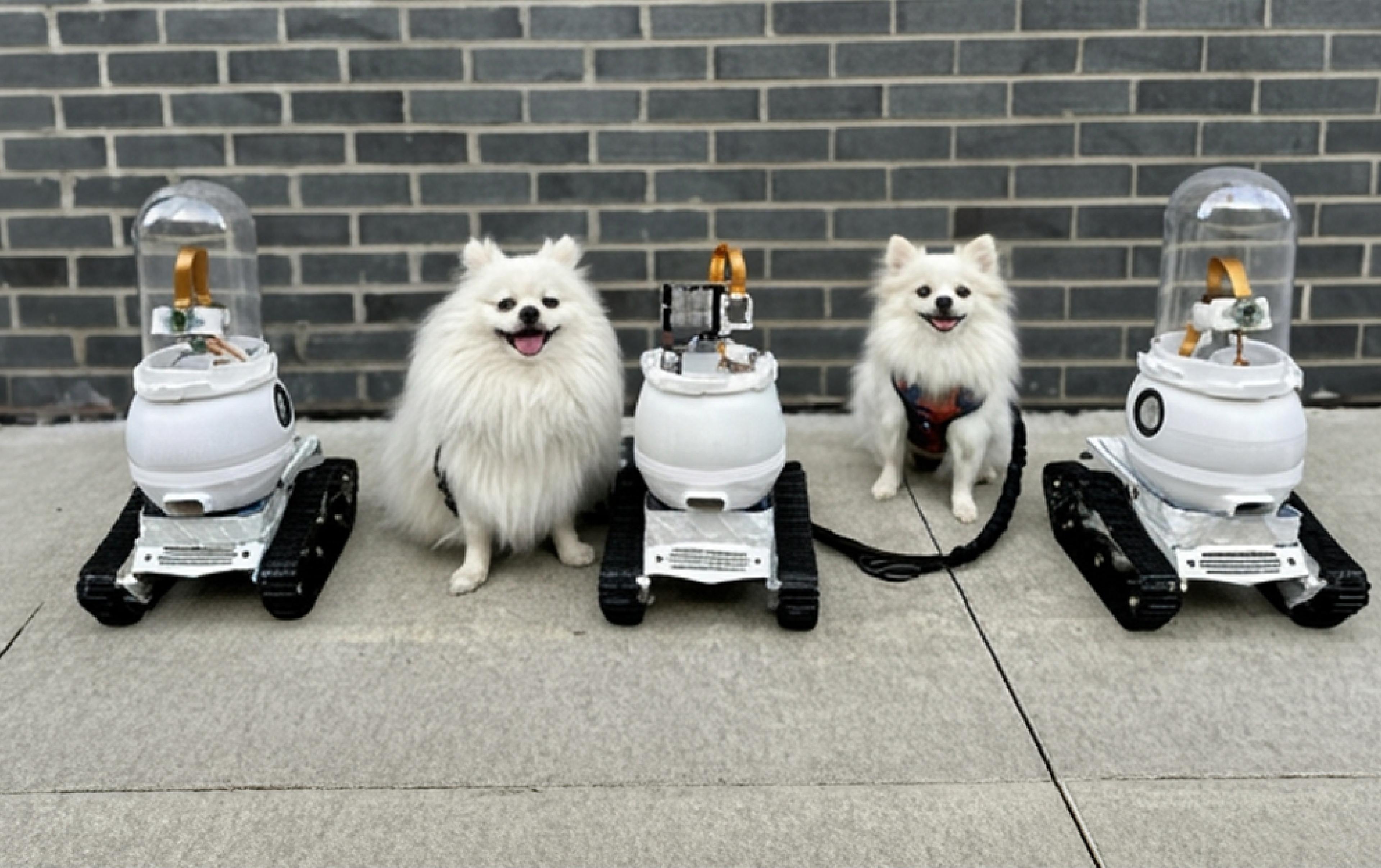 Three white tracked WIM-Z prototype robots lined up on a sidewalk between two white Pomeranians in front of a grey brick wall.