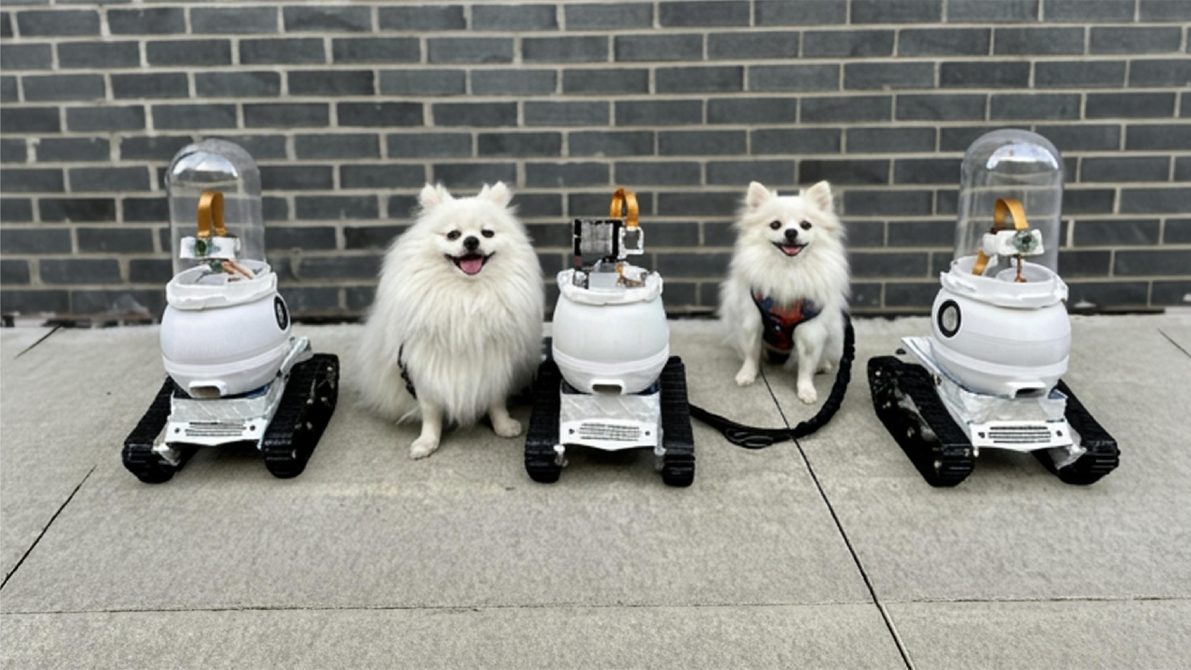 Three white tracked WIM-Z prototype robots lined up on a sidewalk between two white Pomeranians in front of a grey brick wall.