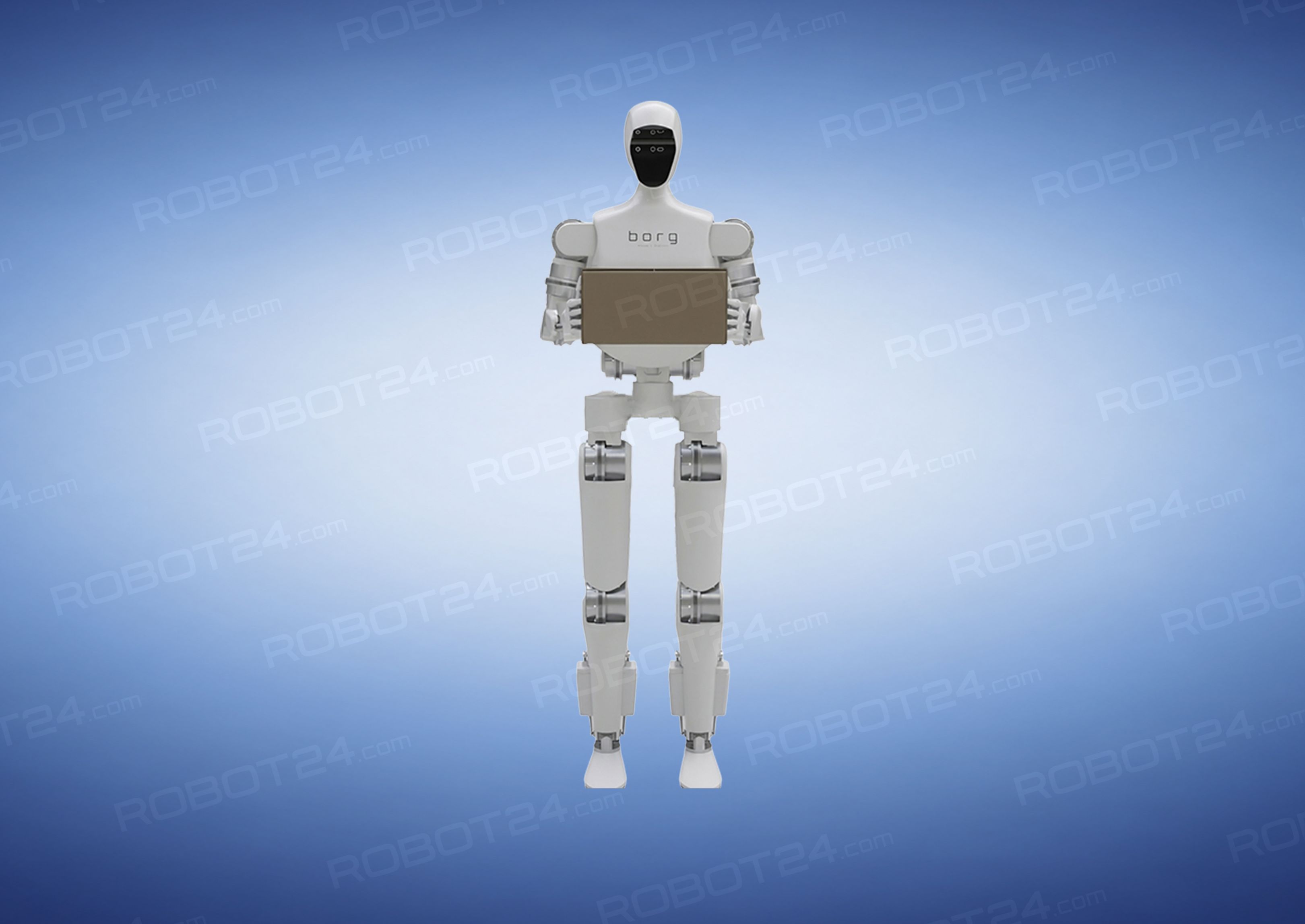 Borg Robotics Inc robot portfolio preview