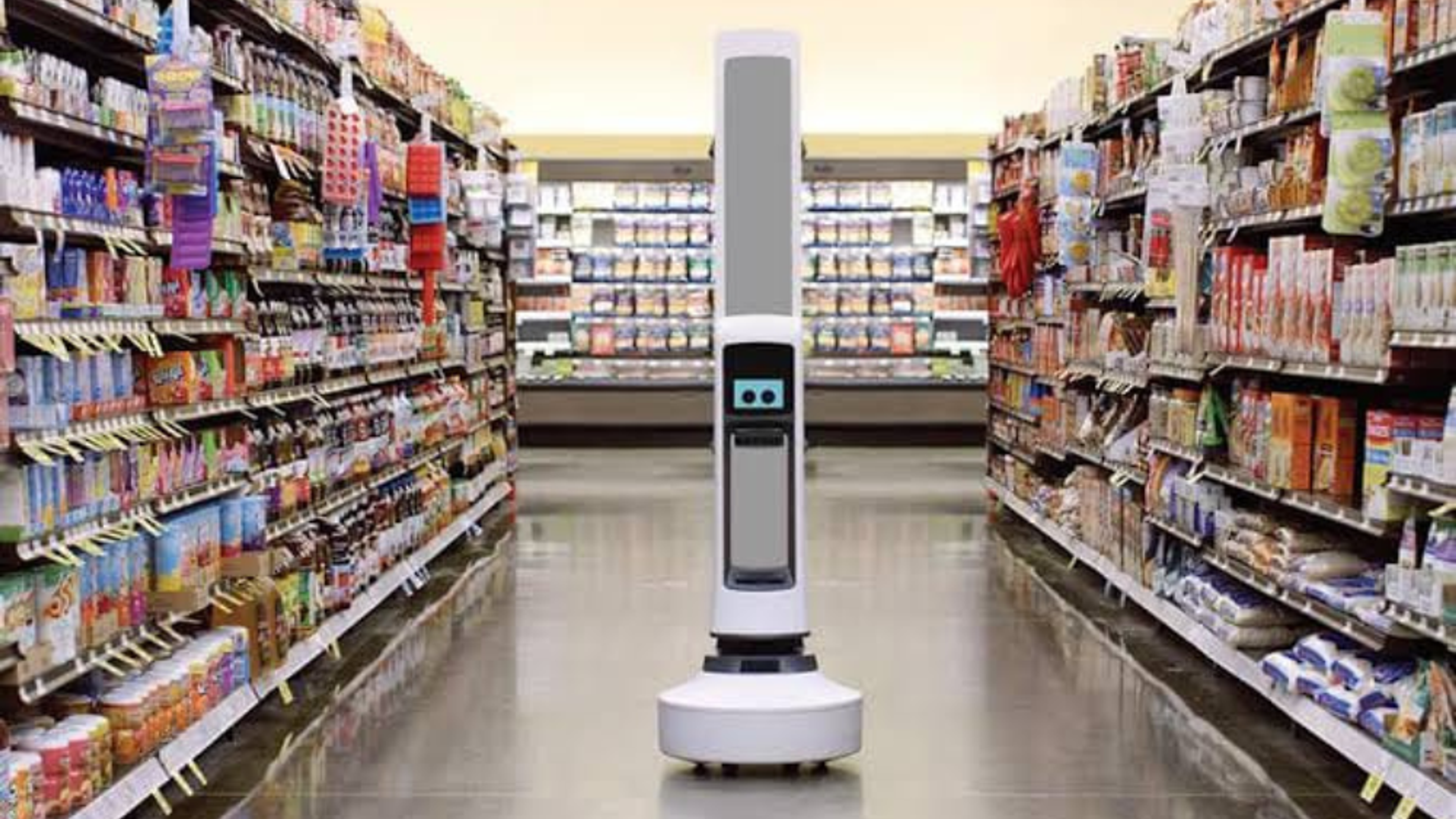 What are Grocery Store Robots and How Do They Work