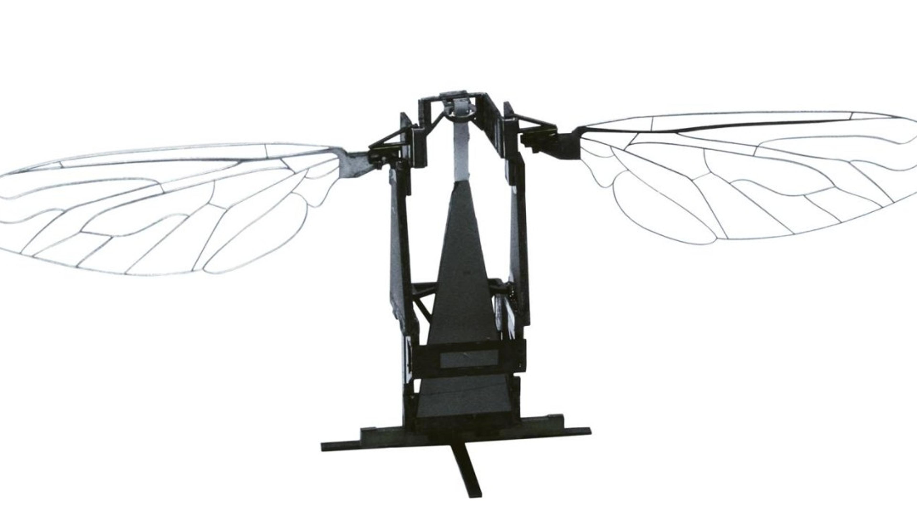RoboBee