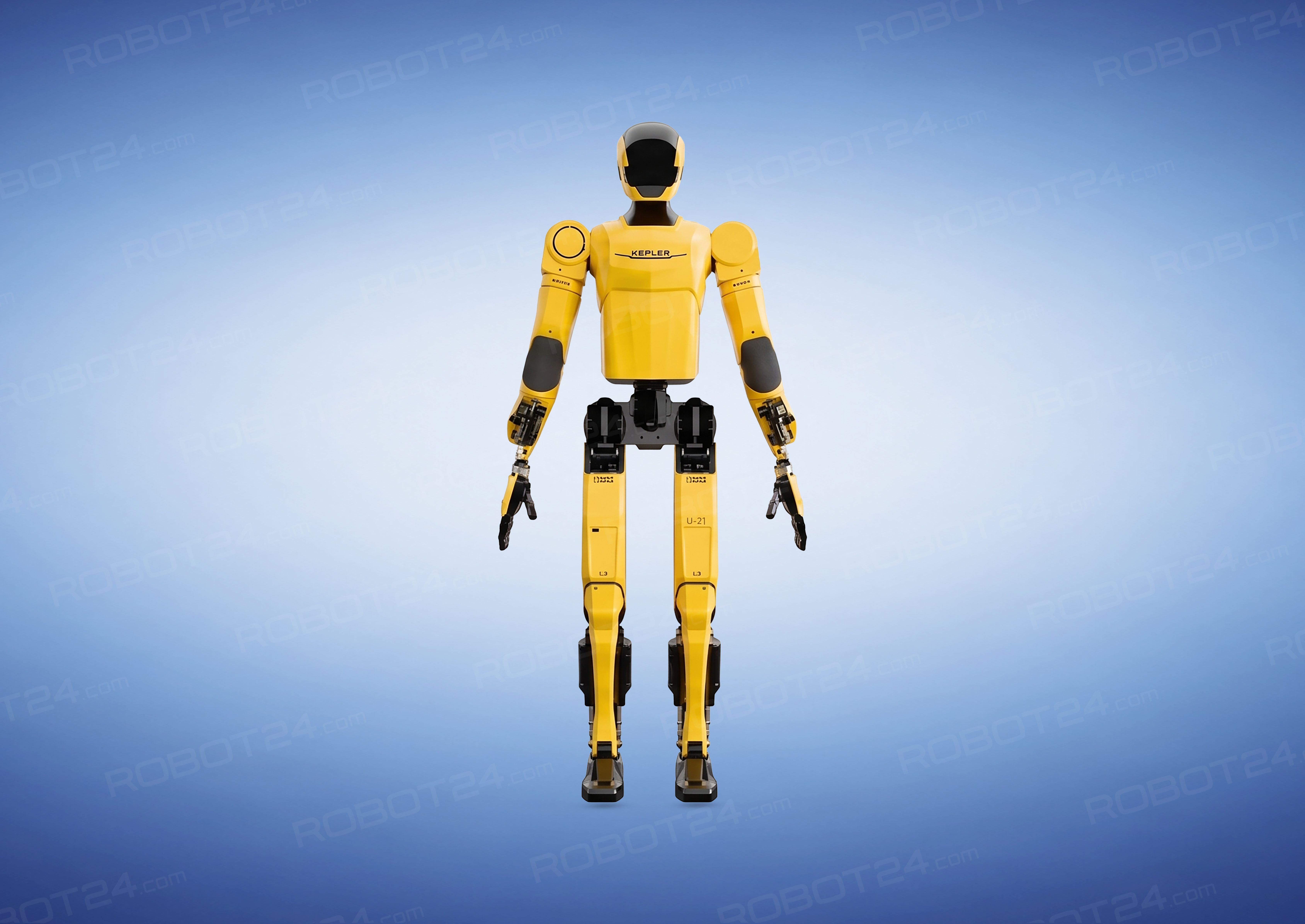 Forerunner K2 (Bumblebee)