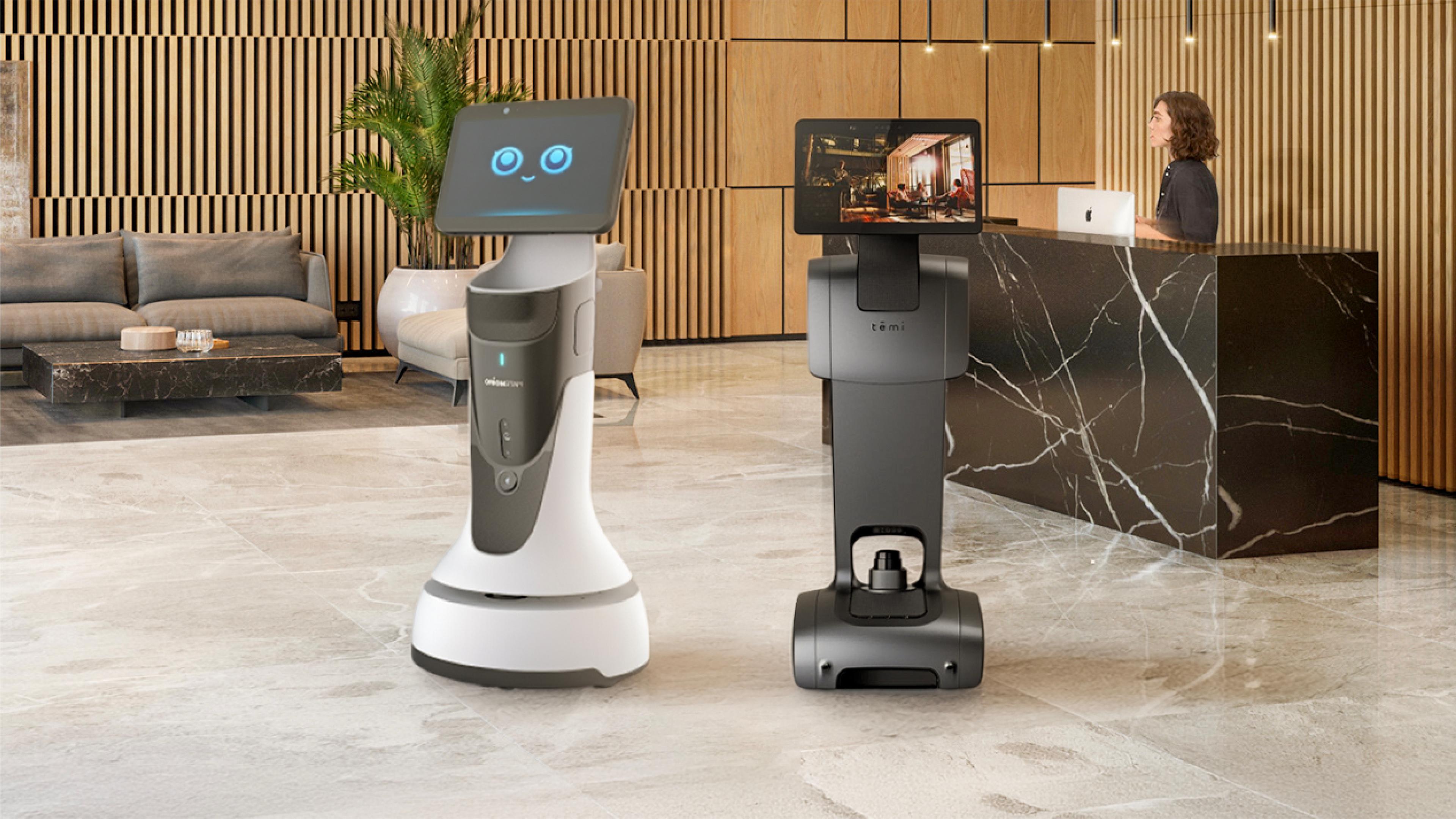 orionstar-greetingbot-mini-vs-temiv3