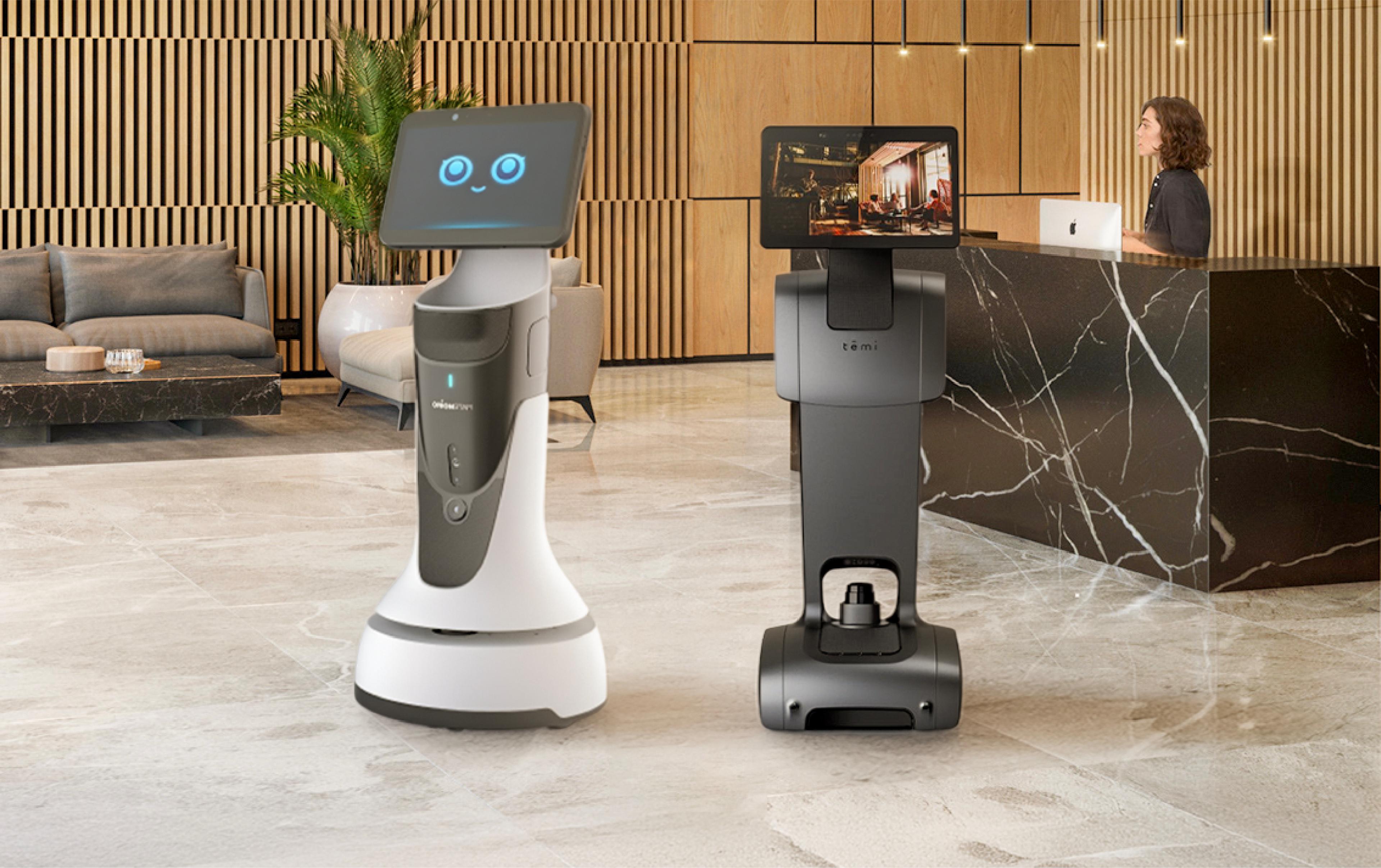 orionstar-greetingbot-mini-vs-temiv3