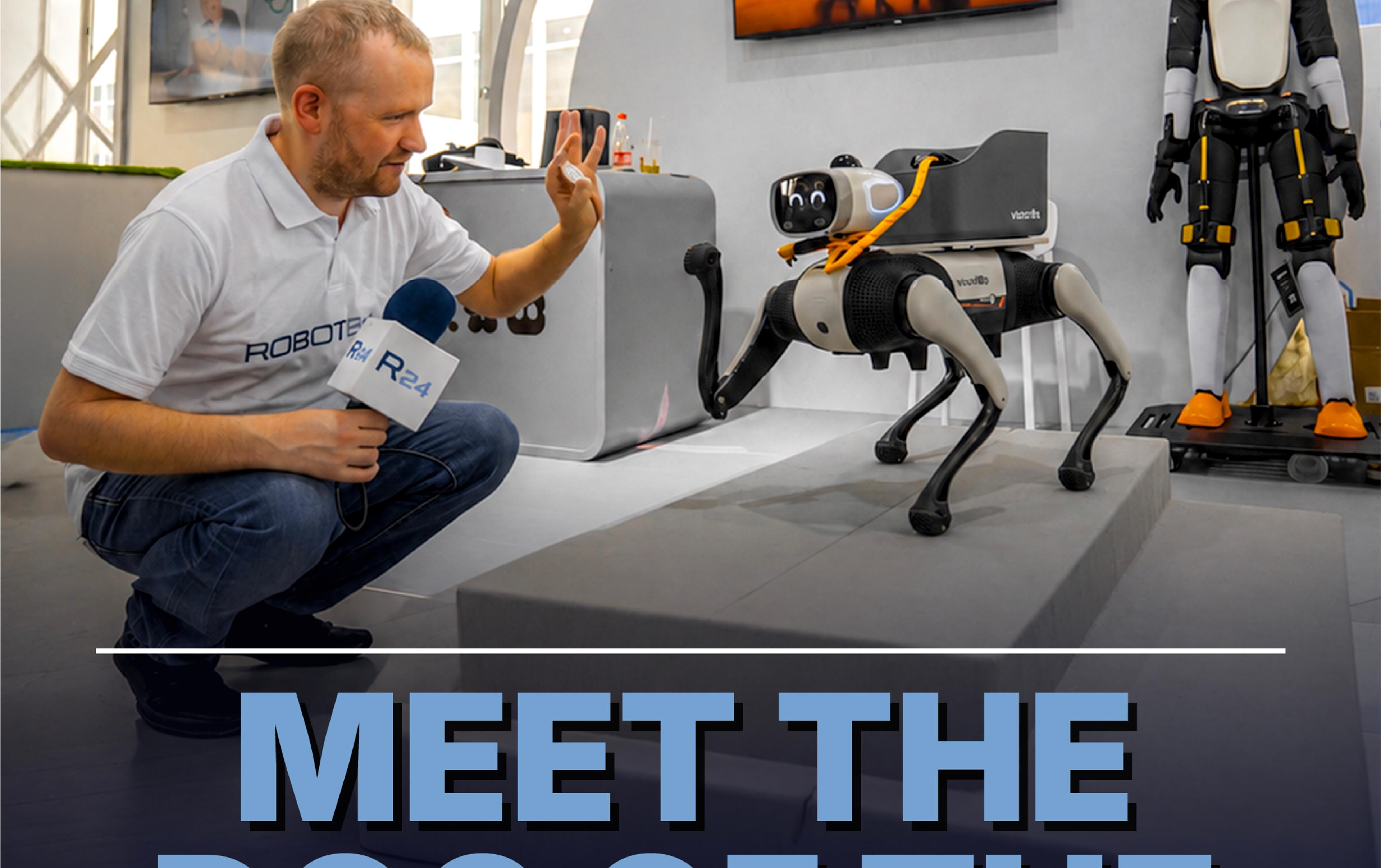 Big Head Bobo the smart robot dog