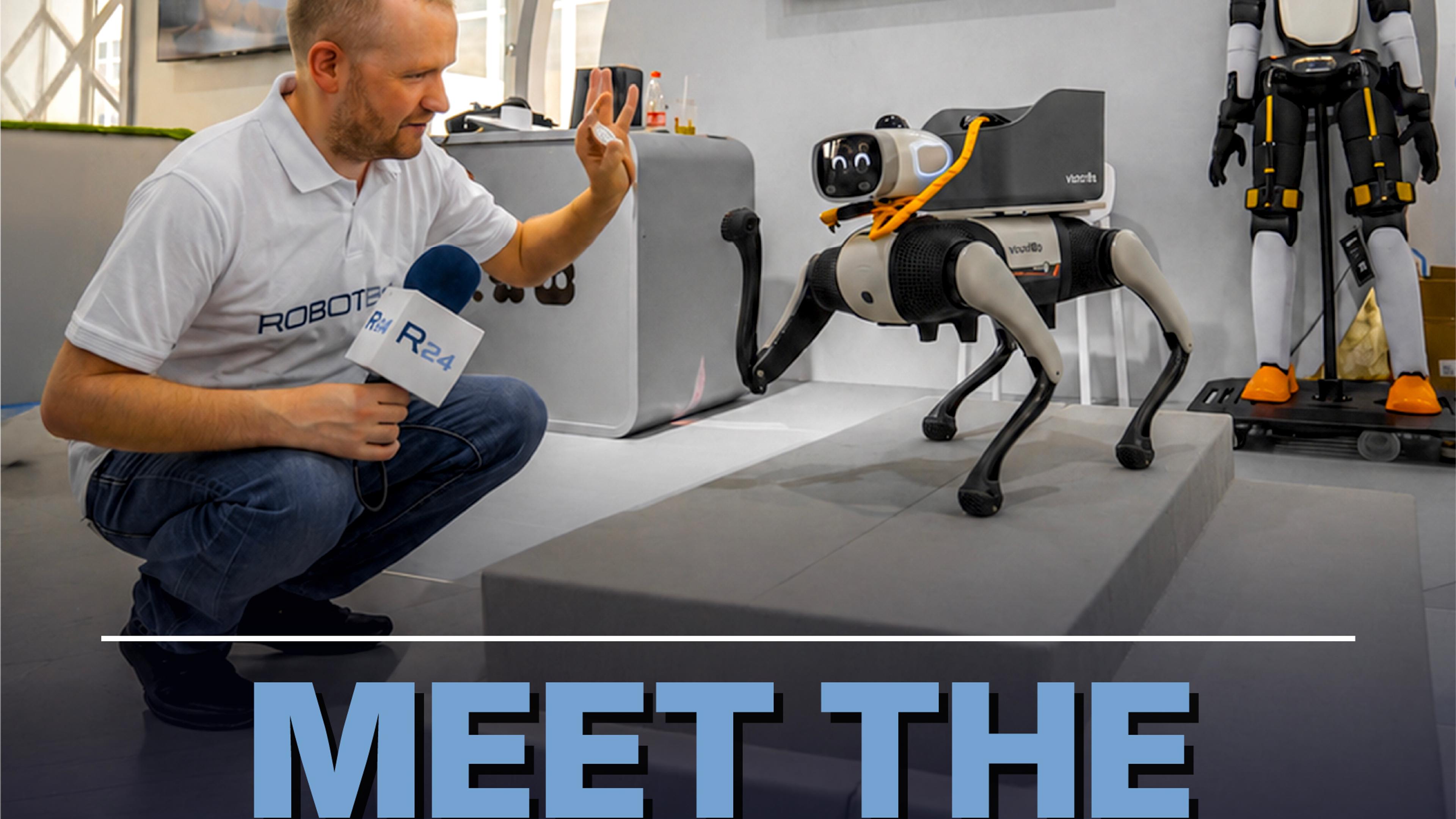 Big Head Bobo the smart robot dog