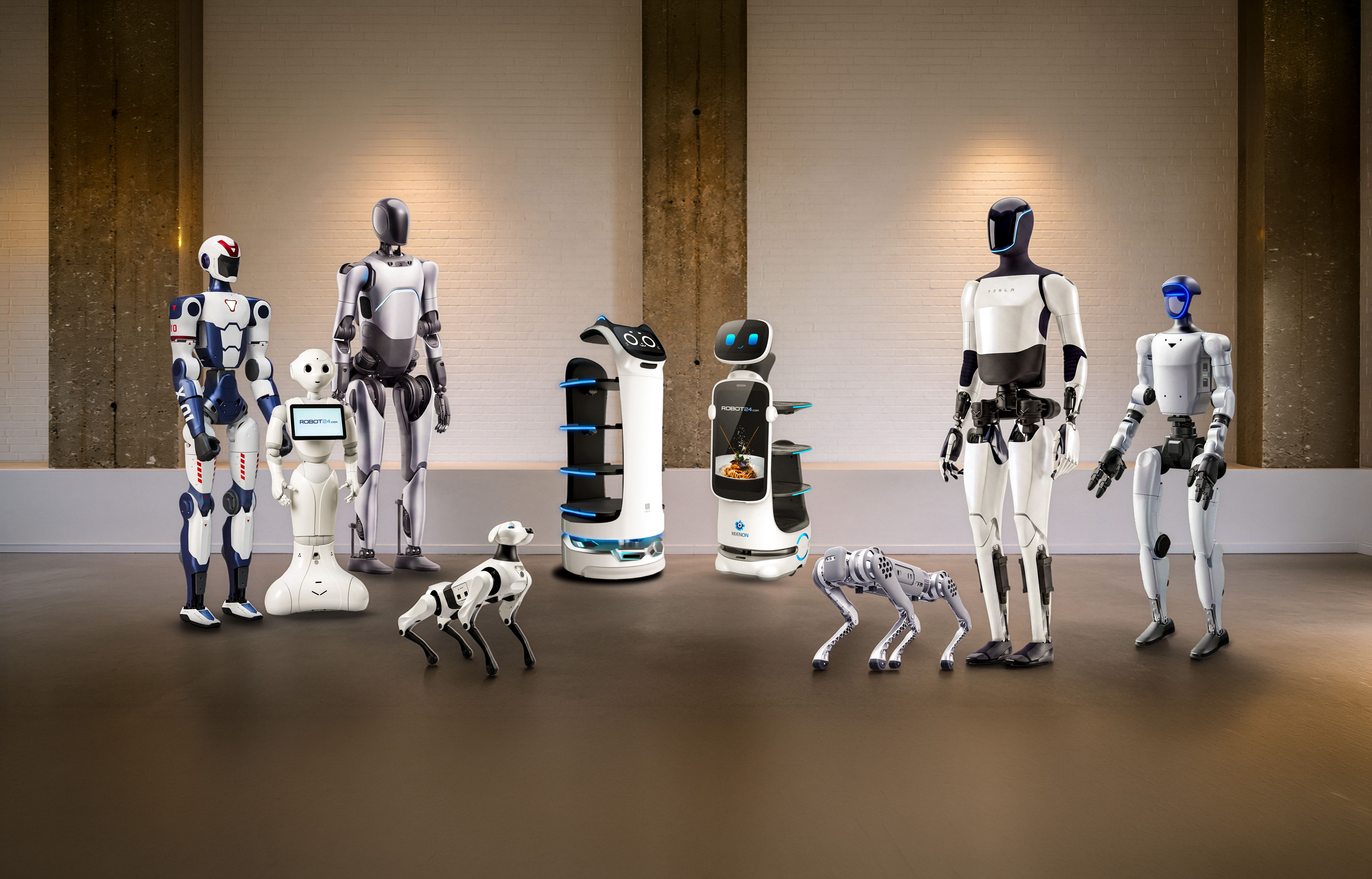 The Robot24.com robot line-up: humanoids, service robots and robot dogs in a studio