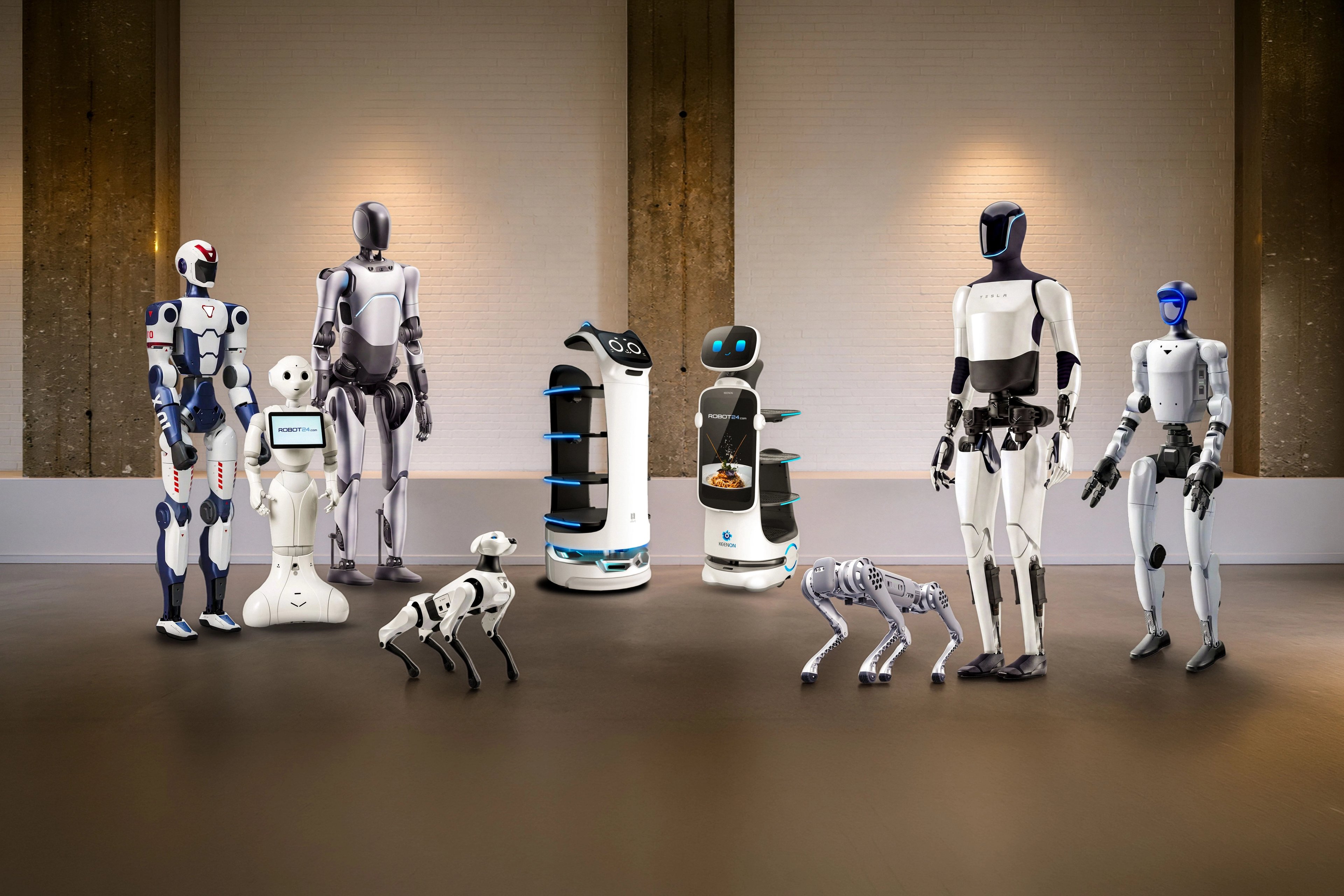 The Robot24.com robot line-up: humanoids, service robots and robot dogs in a studio