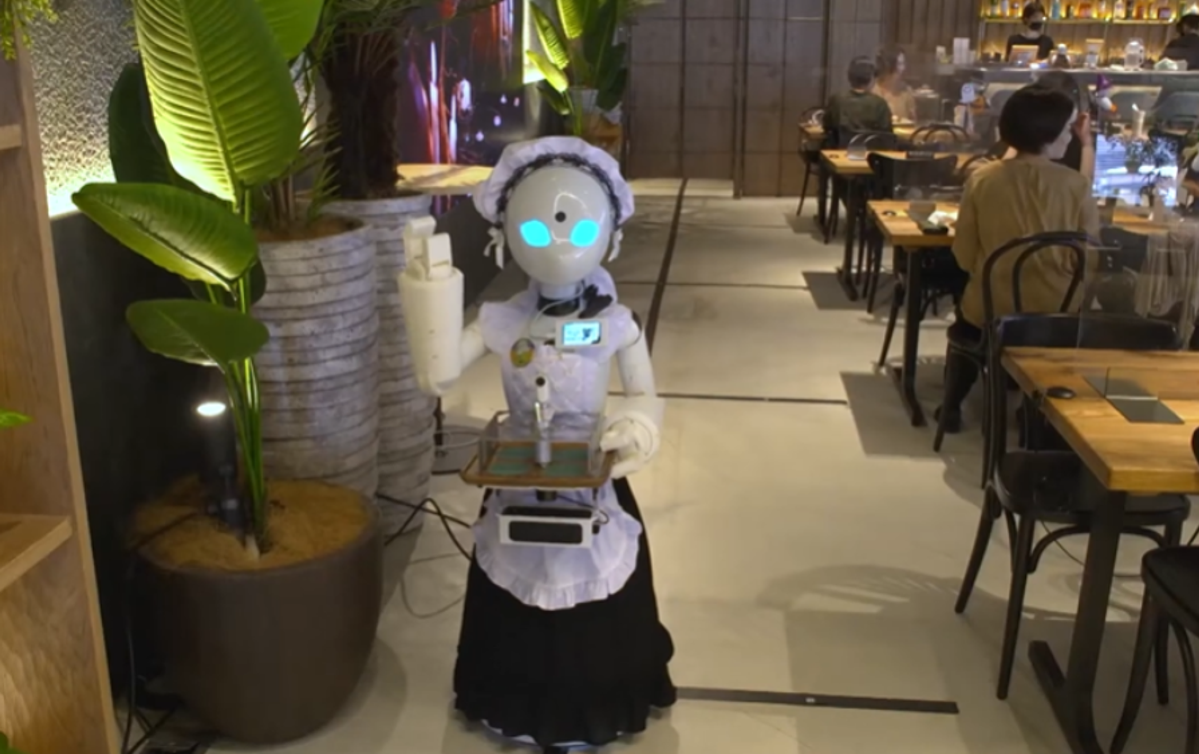 How Restaurants Could Benefit from Humanoid Robots