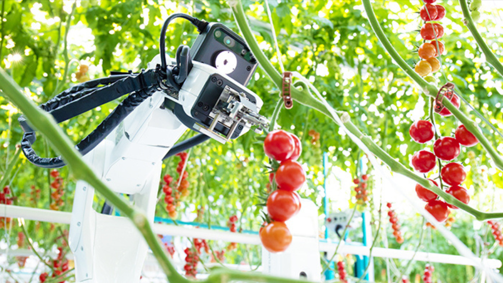 How Robots Are Transforming Agriculture