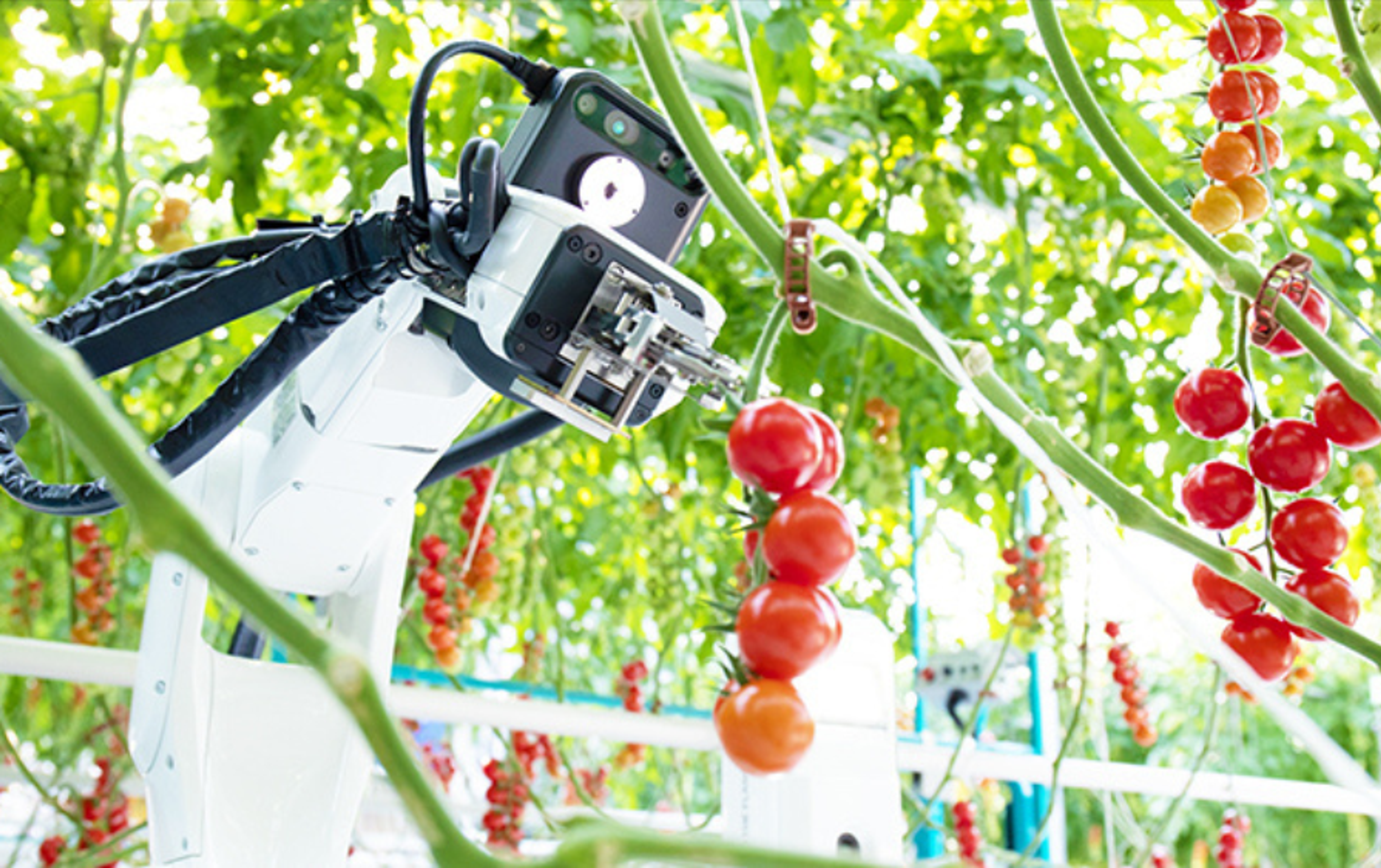 How Robots Are Transforming Agriculture
