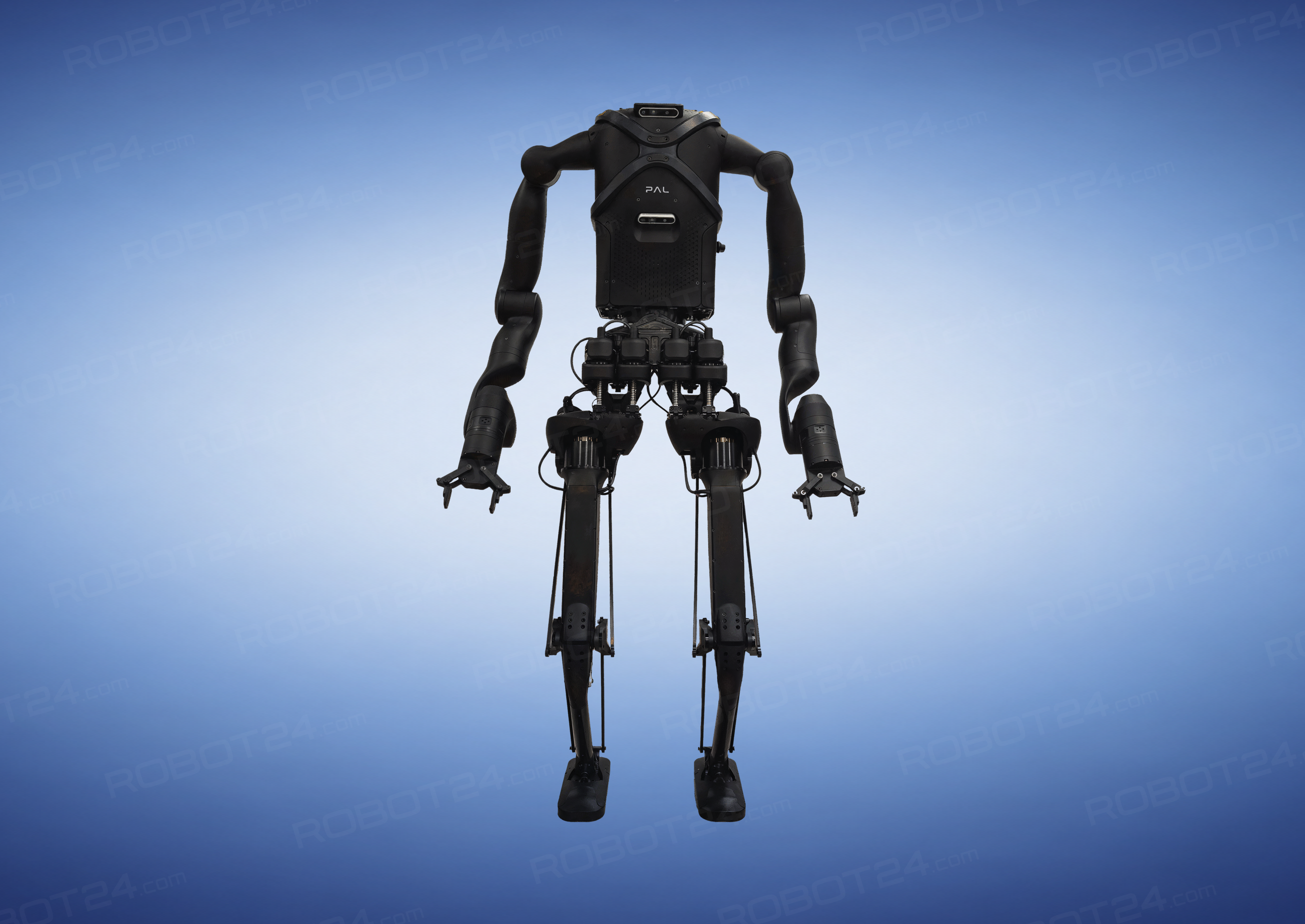 Kangaroo by PAL Robotics