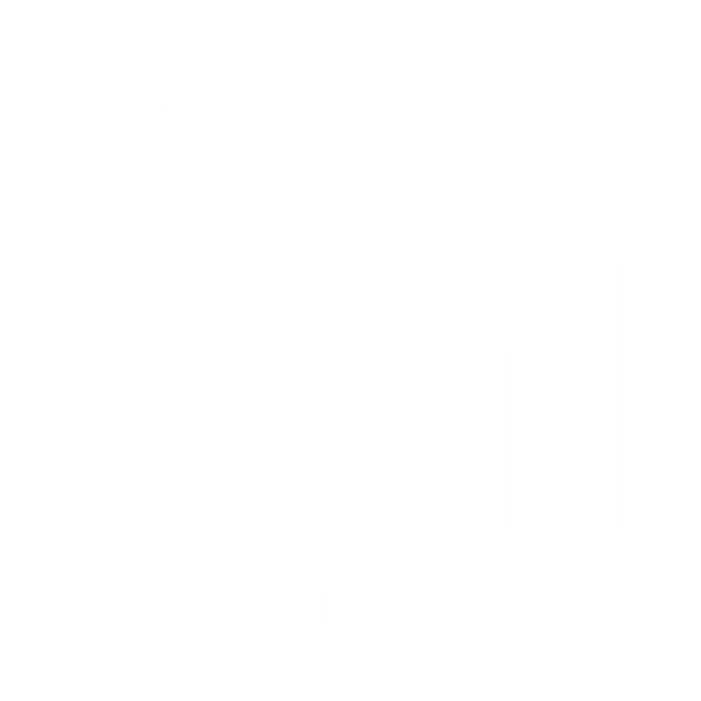 Paaila Technology logo