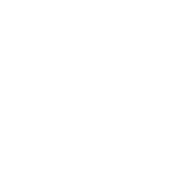Shanghai Electric Group Co., Ltd logo