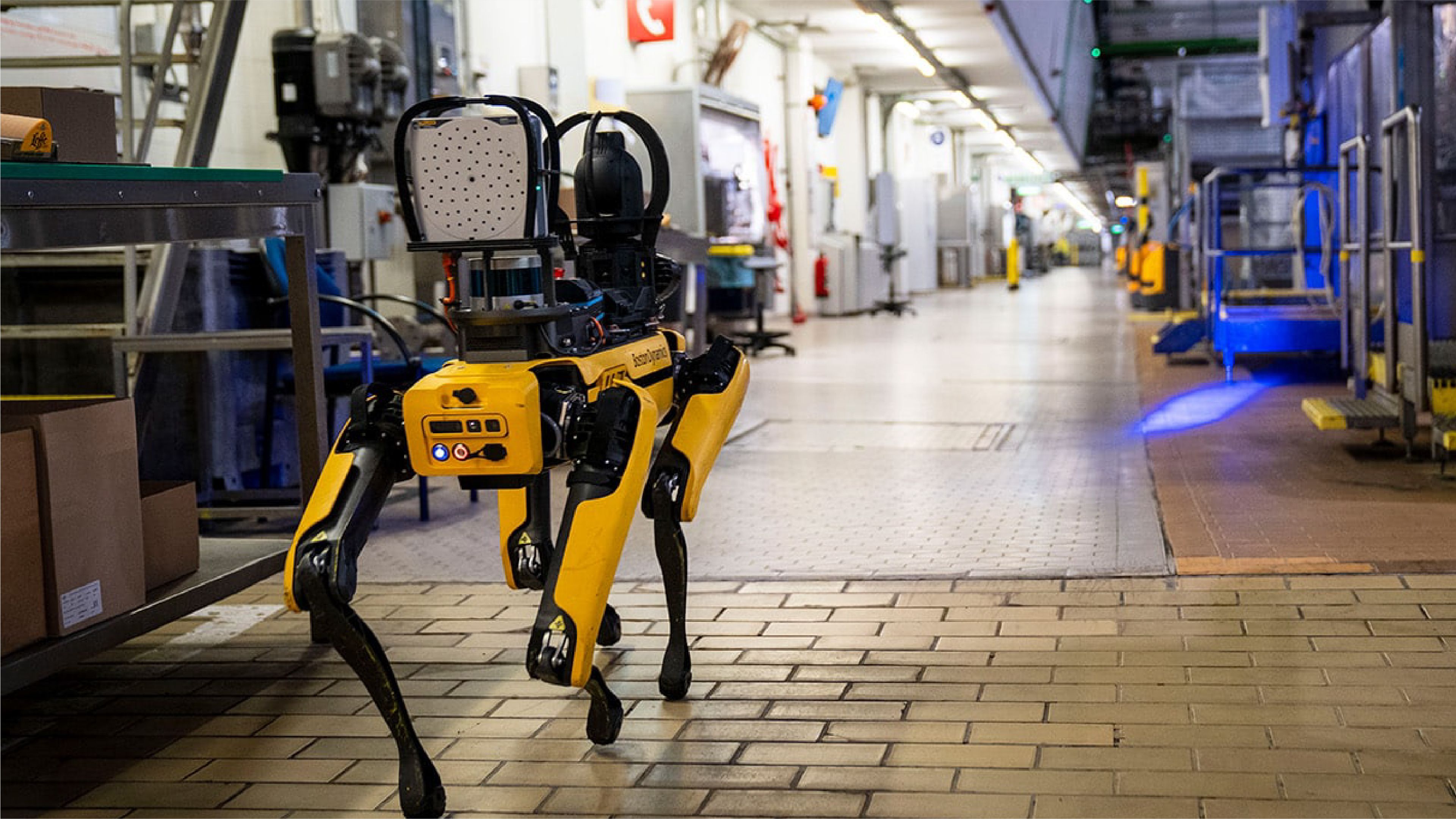 Jobs You Didn't Know Were Done by Robot Dogs