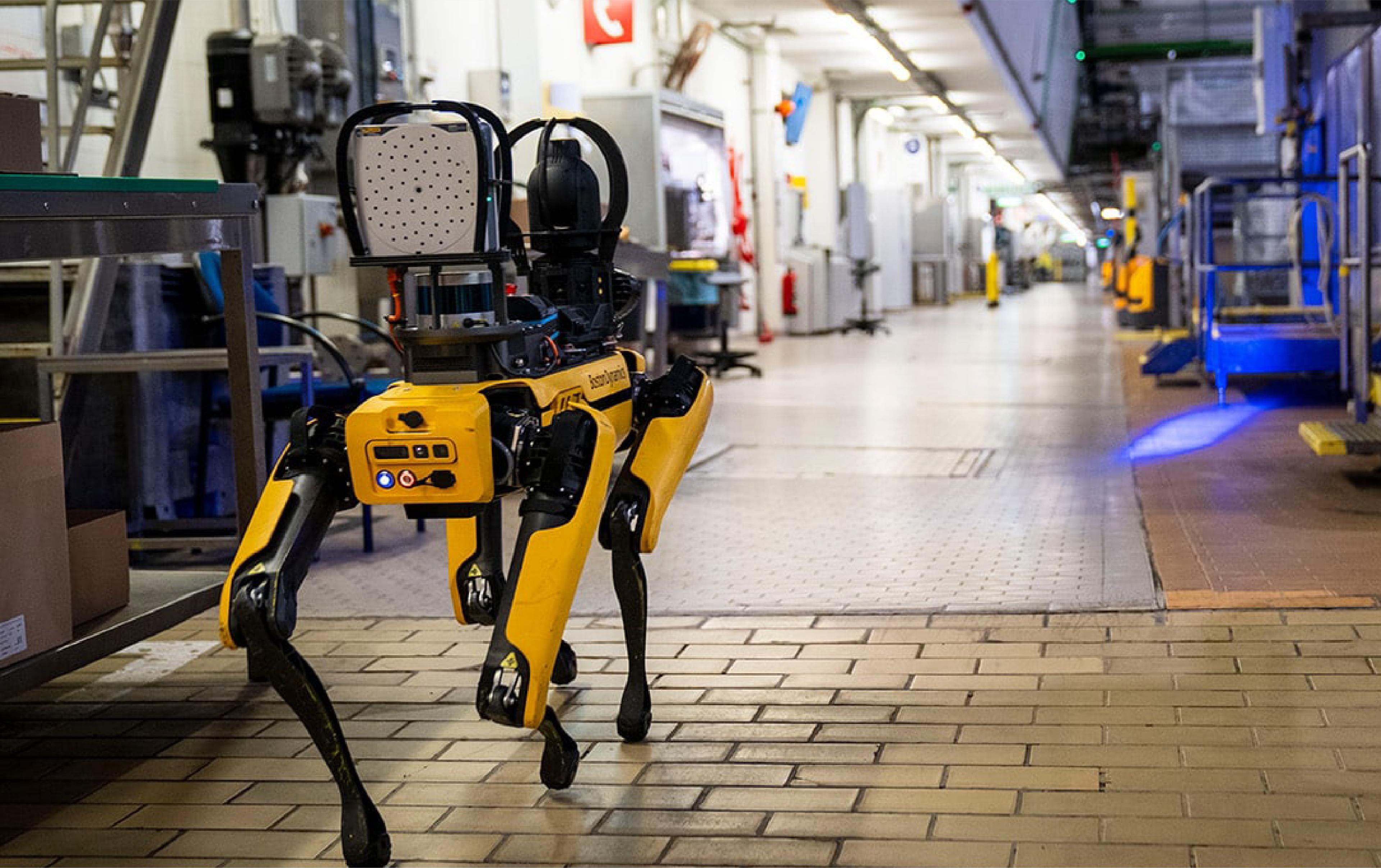 Jobs You Didn't Know Were Done by Robot Dogs
