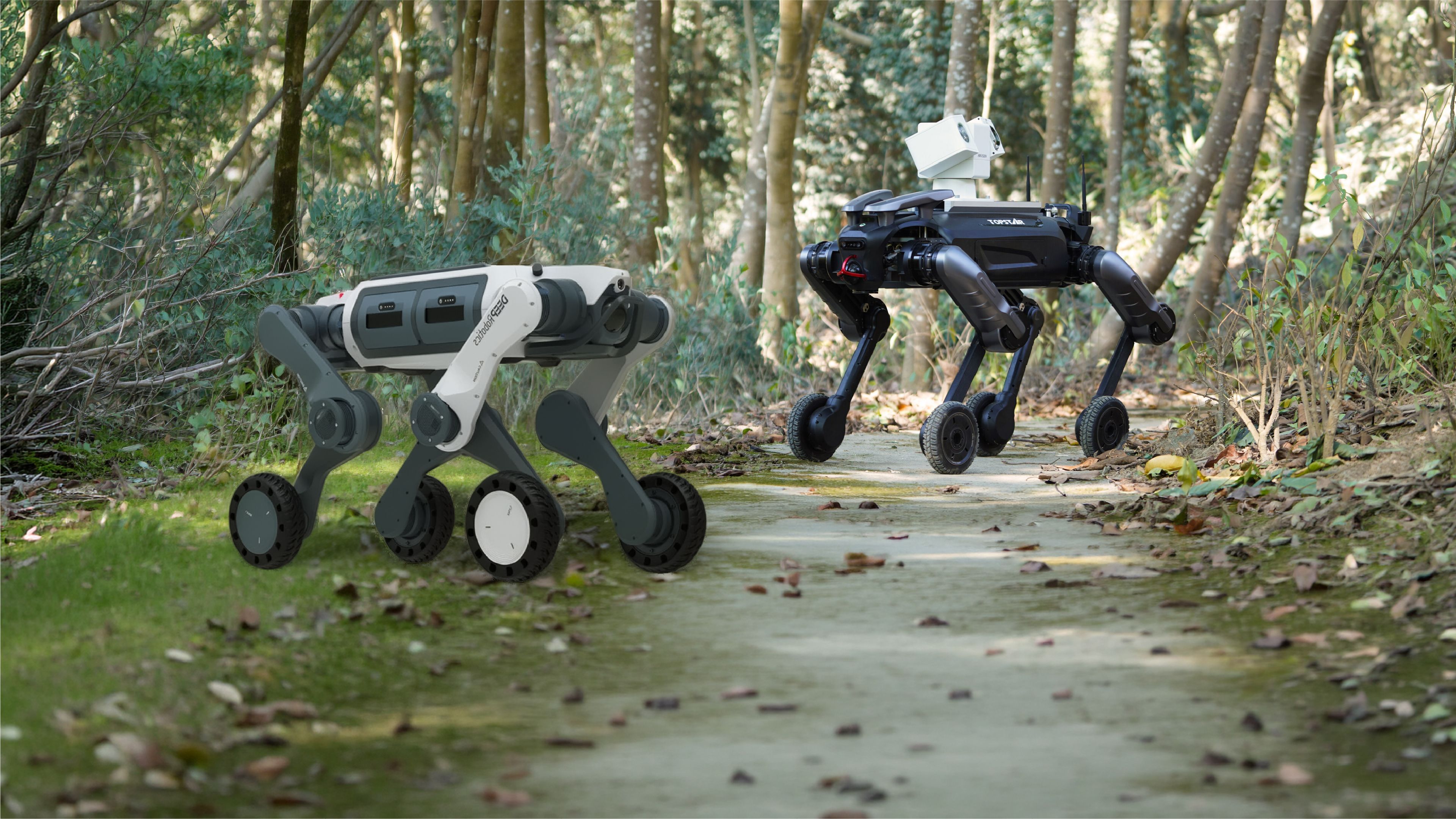 Side-by-side comparison of two wheeled-leg quadruped robots on a wooded trail: DEEP Robotics' white and gray Lynx M20S in the foreground, and TOPSTAR's black Xingzai with a mounted camera/sensor unit in the background