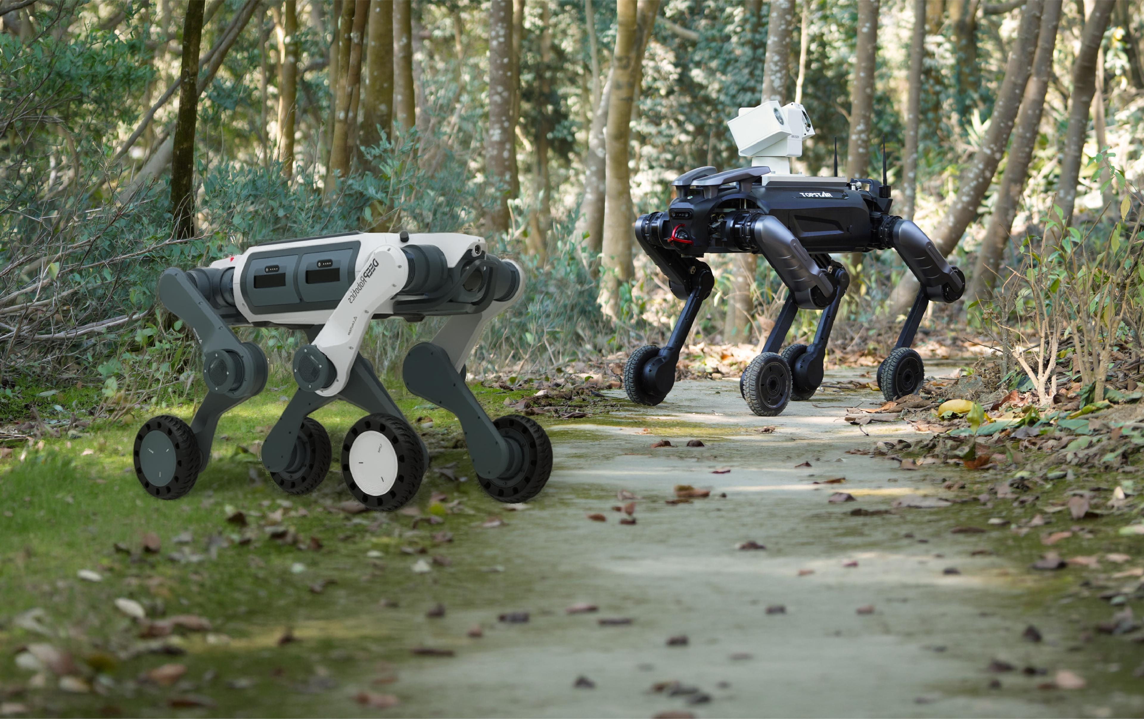 Side-by-side comparison of two wheeled-leg quadruped robots on a wooded trail: DEEP Robotics' white and gray Lynx M20S in the foreground, and TOPSTAR's black Xingzai with a mounted camera/sensor unit in the background