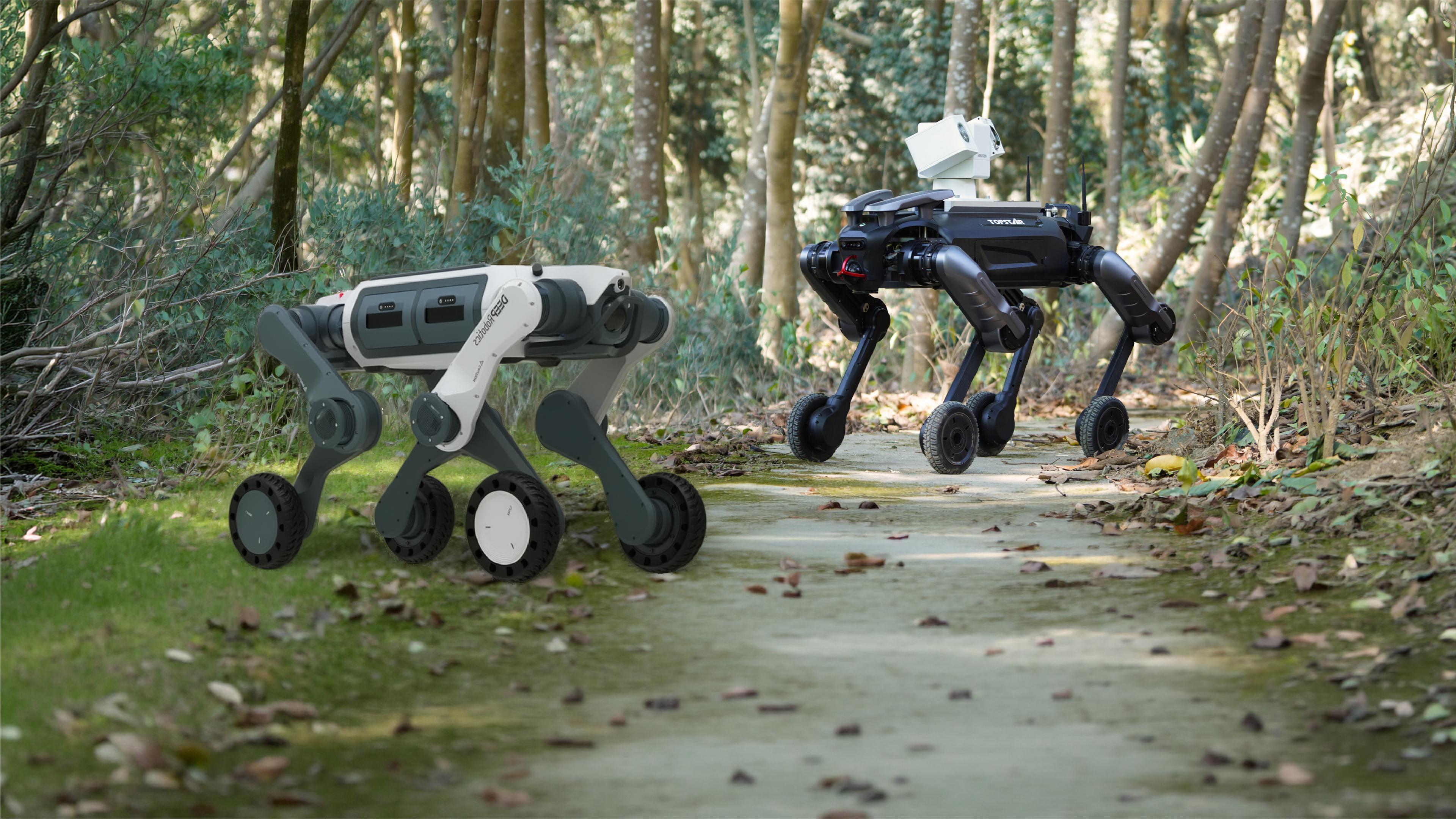 Side-by-side comparison of two wheeled-leg quadruped robots on a wooded trail: DEEP Robotics' white and gray Lynx M20S in the foreground, and TOPSTAR's black Xingzai with a mounted camera/sensor unit in the background