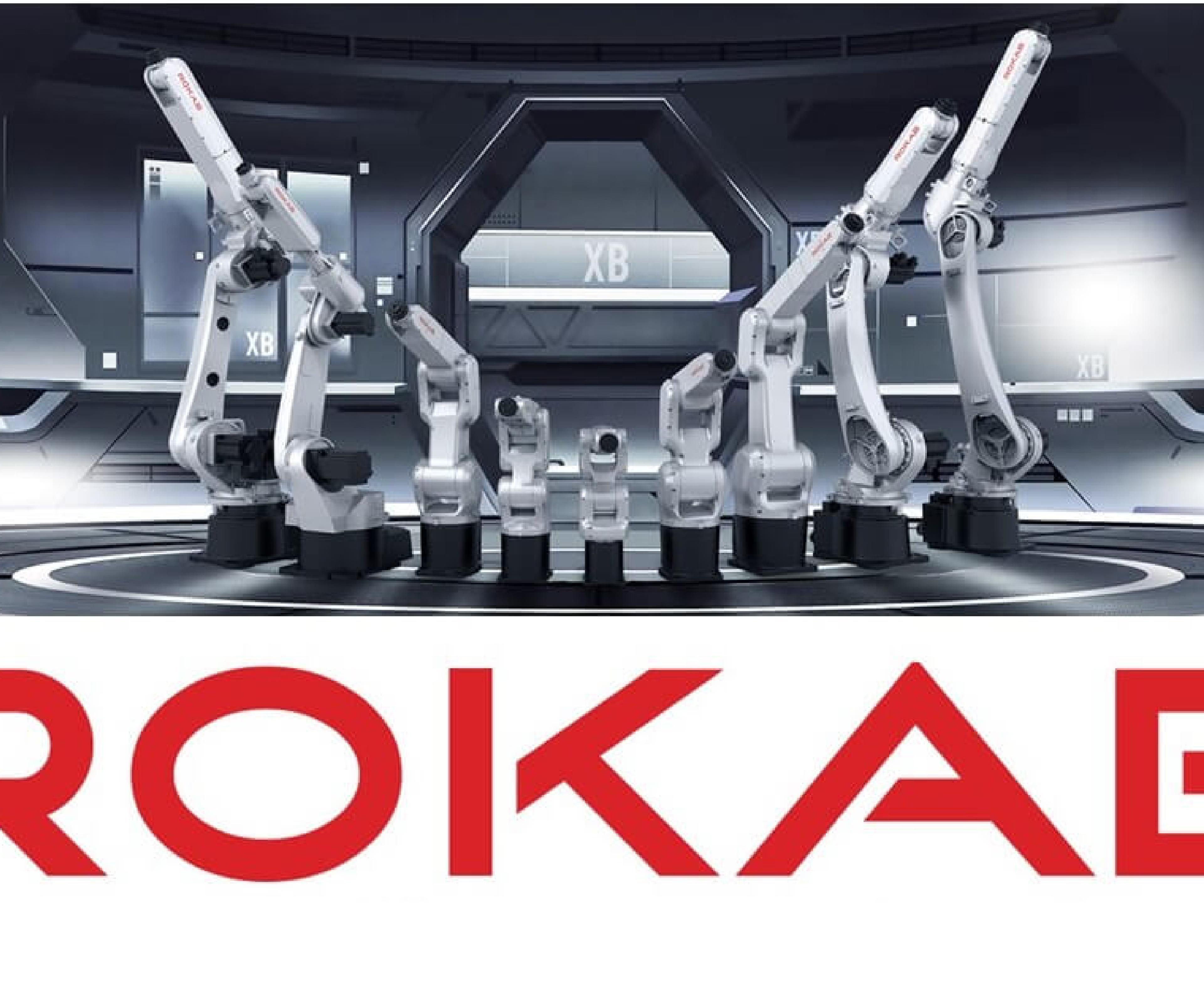 ROKAE's lineup of industrial robotic arms displayed above the manufacturer's logo.