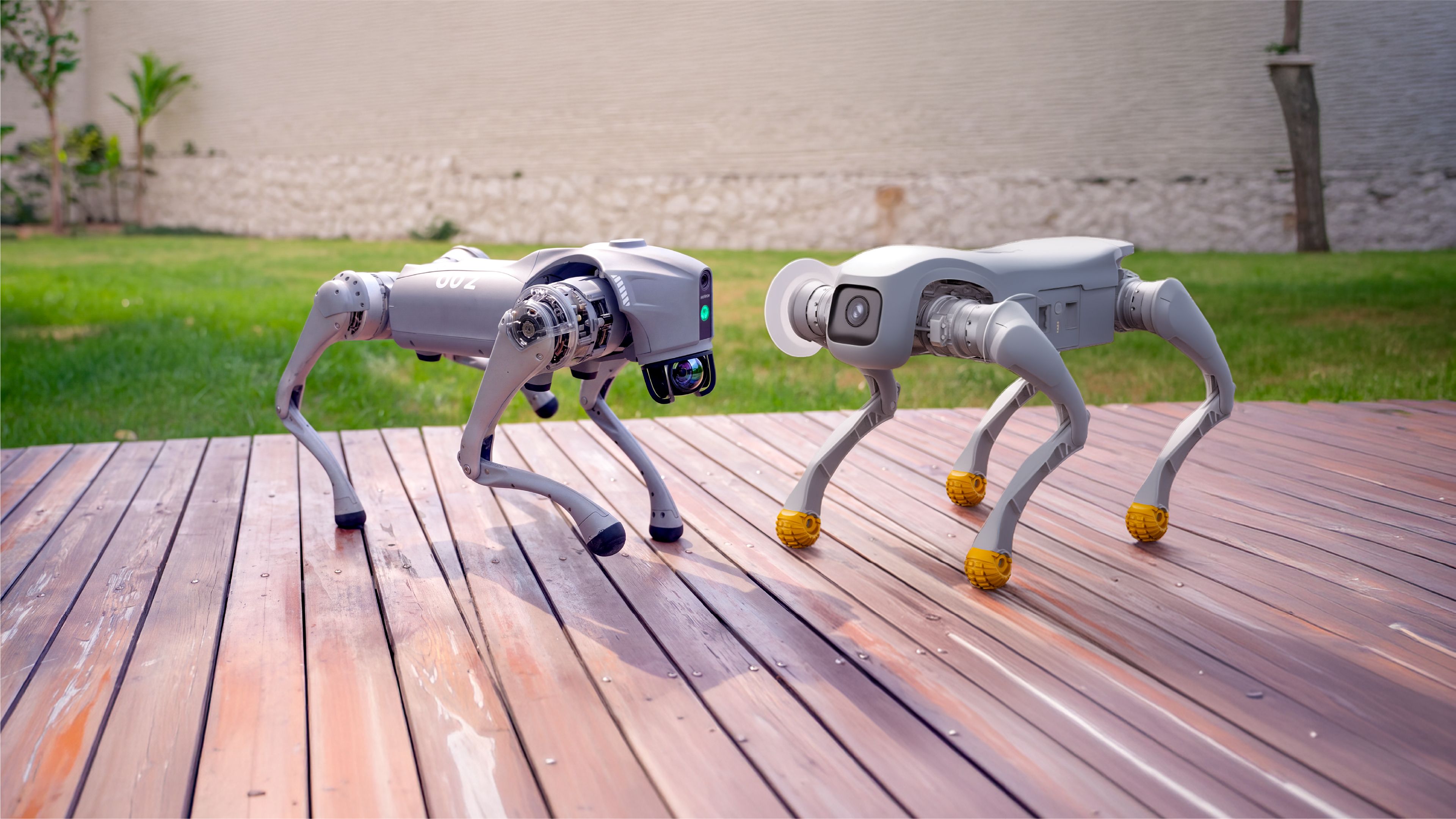 agibot-d1-vs-unitree-go2-edu-plus